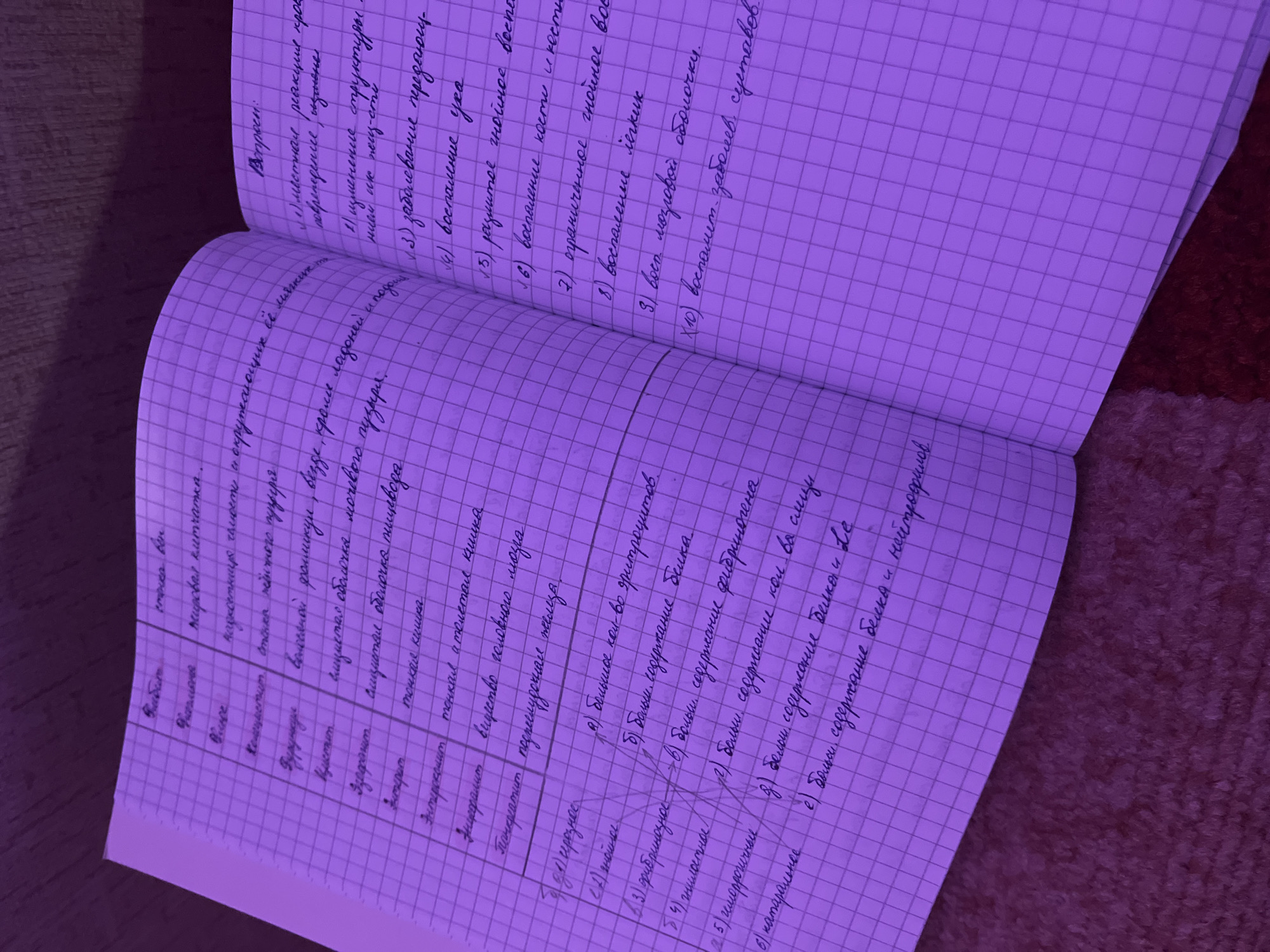 The image shows two pages of handwritten notes in a lined notebook. The text is in Russian and appears to be related to medical or biological topics, possibly notes from a lecture or study session. There are lists and definitions, along with questions and multiple-choice answers. The background is blurry, with the notebook resting on a reddish-brown surface, possibly a blanket or rug. Based on the text content, the scene is likely located in Chaikovsky, Russia.