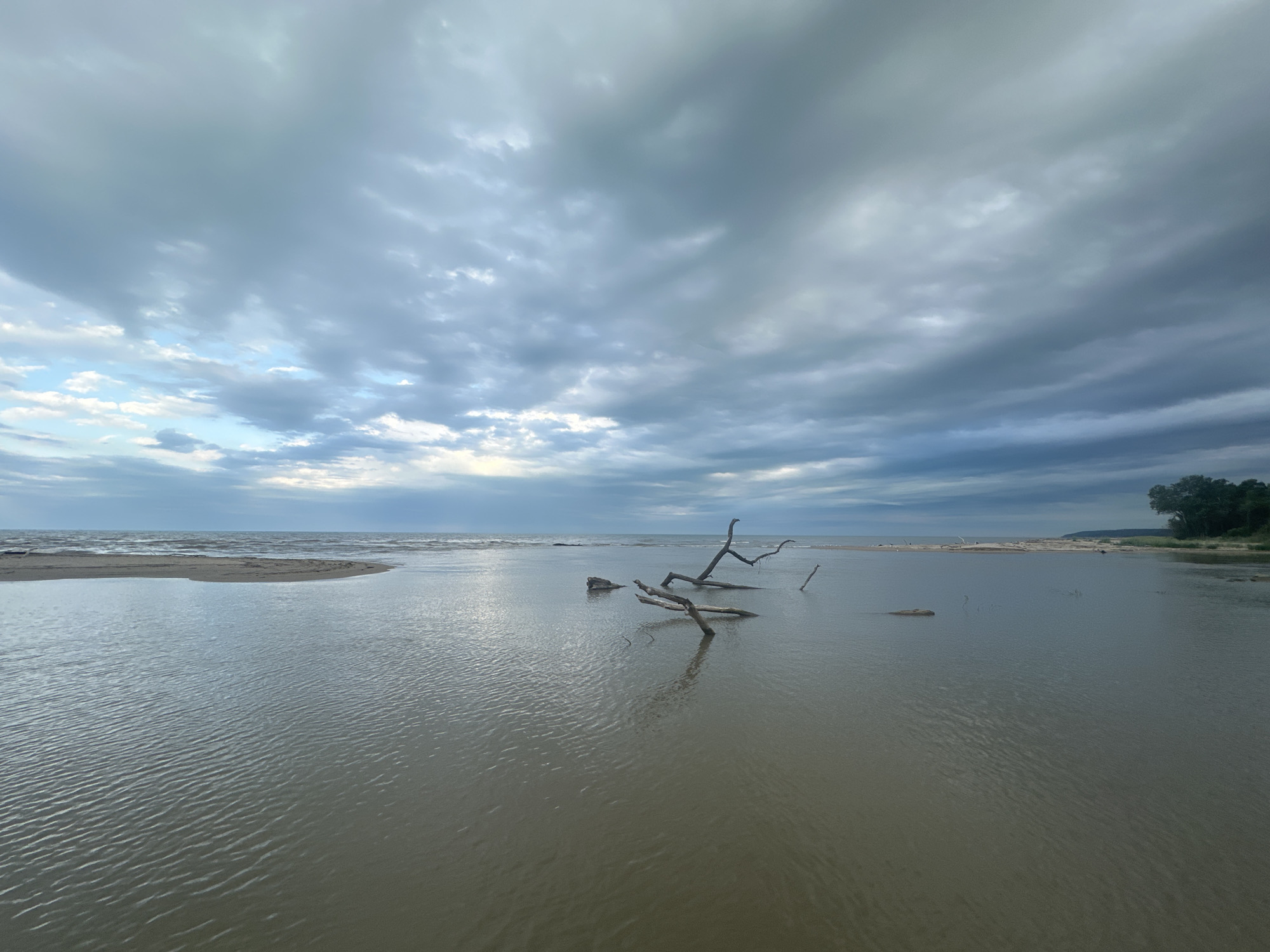 The image depicts a landscape with water, likely a lake or the sea, under a cloudy sky. In the foreground, there are several large branches or driftwood emerging from the water. Ripples are visible on the water's surface. In the background, there is a strip of land, possibly a beach or shoreline, with some vegetation including trees on the right side. The horizon is visible in the distance, where the water meets the sky.
There is no evidence to support the location in the city of Bliznatsi, Bulgaria.