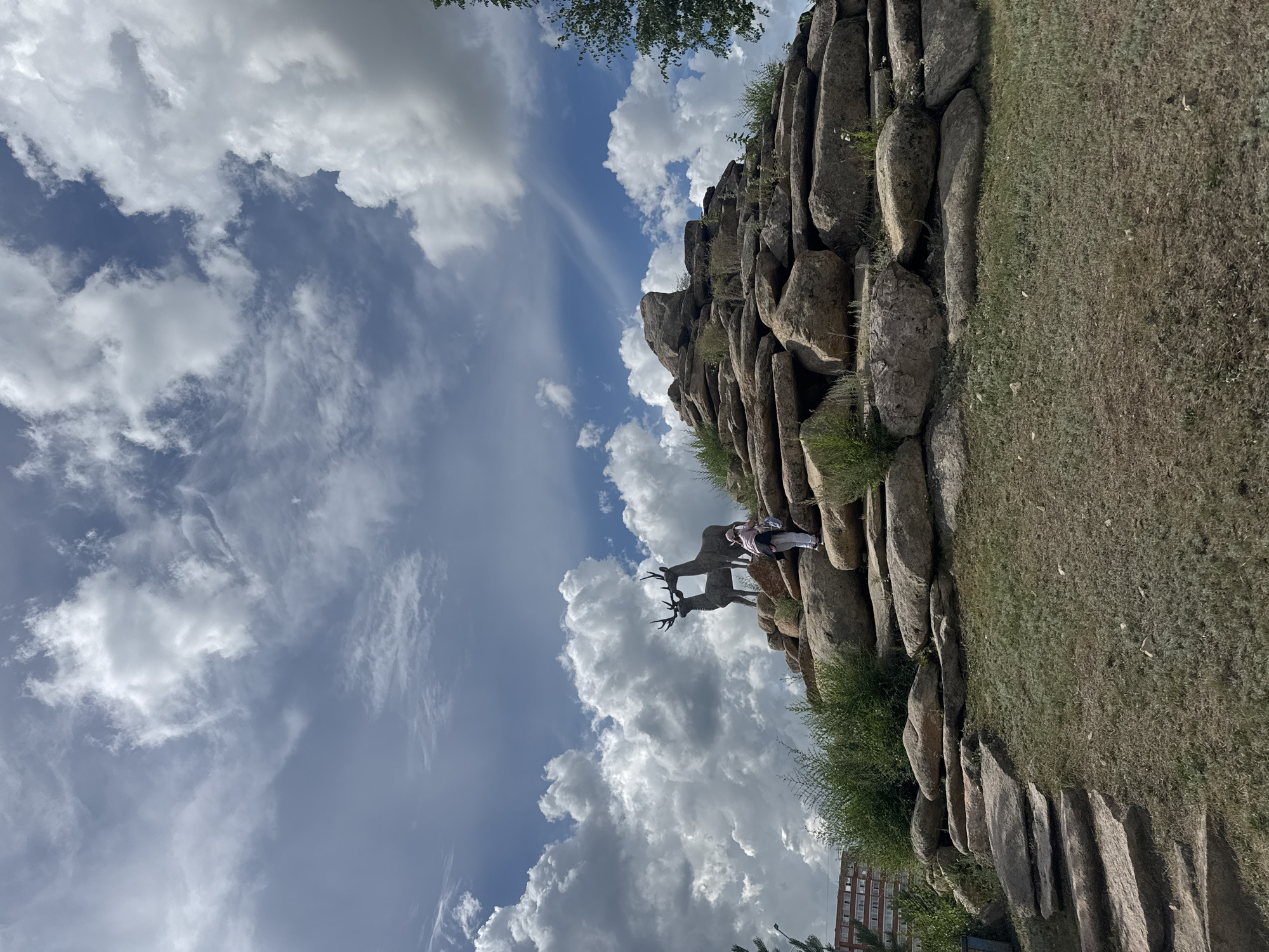 The image shows a large rock formation with a statue of two deer. Two people are standing on the rocks near the deer statue. The sky is blue with fluffy white clouds, suggesting a daytime scene. The ground is covered with dry grass and small patches of green vegetation. In the background, a building with many windows is visible. The overall scene appears to be a natural landscape with some man-made elements. The orientation of the image is vertical.