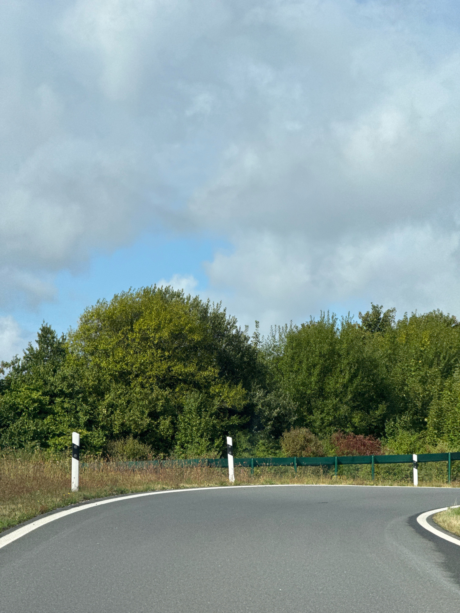 The image depicts a curved asphalt road in Bad Sachsa, Germany. On the left side of the road, there are two white posts with black reflective bands, characteristic of road markers. A green guardrail runs along the right side of the road, separating it from a dense line of trees and vegetation. The trees are lush and green, with some interspersed brown foliage, suggesting it is late summer or early autumn. The sky above is partly cloudy, with patches of blue sky visible through the gray and white clouds. The road appears to be a rural or semi-rural area, given the presence of abundant greenery and the absence of buildings or significant human infrastructure.