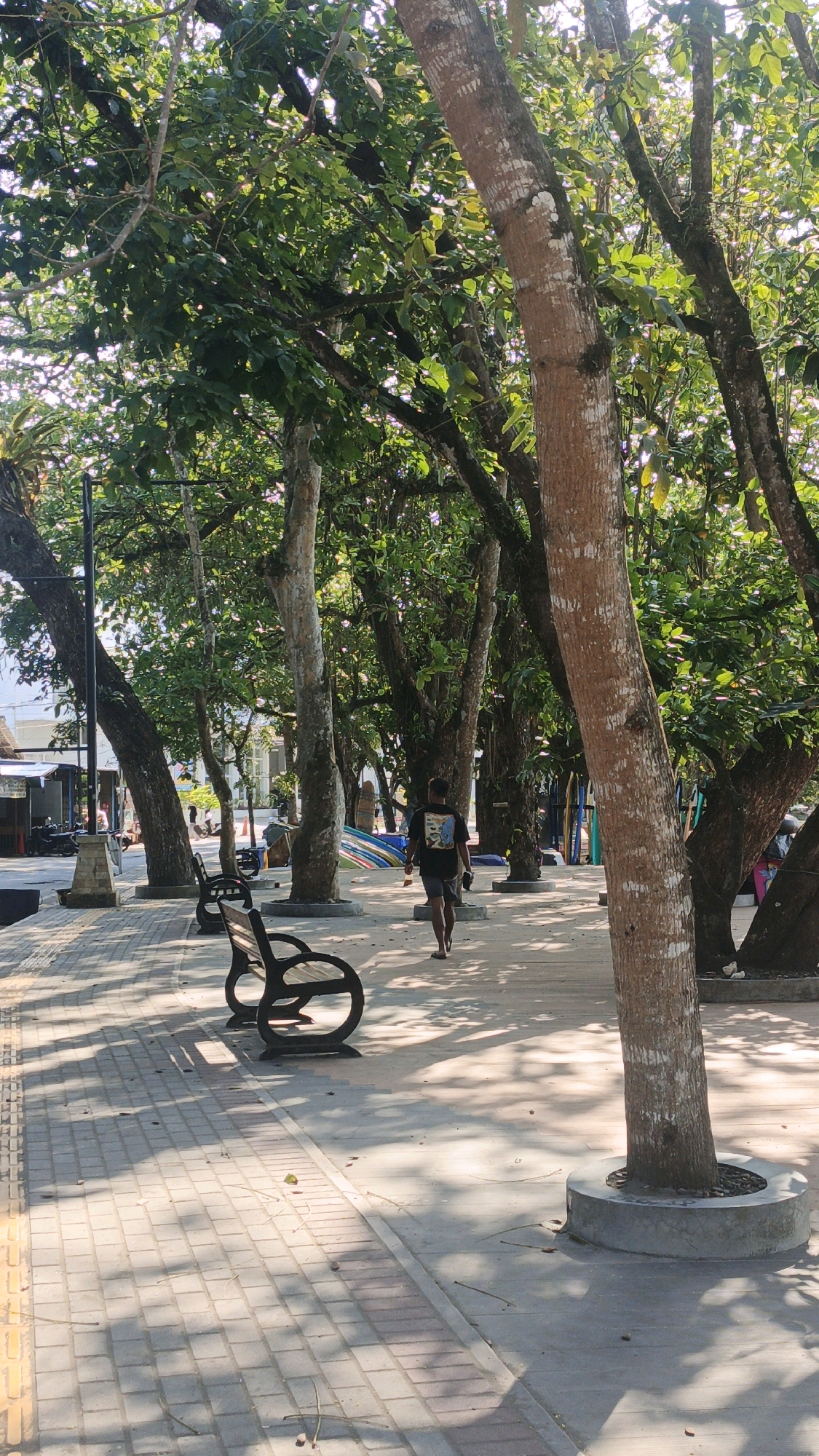 A person walks along a paved path lined with trees in Desa Batukaras, Indonesia. The path is made of light-colored rectangular pavers, and there are shadows cast by the overhead foliage. A dark metal bench with a curved back and legs is positioned on the left side of the path. In the background, more trees create a dense canopy, and a few buildings are visible, suggesting a developed area. The ground is littered with a few fallen leaves and twigs. The person, a male wearing a dark t-shirt and shorts, is walking away from the camera, towards the right side of the image. The overall scene is outdoors, under a bright sky, indicating daytime.