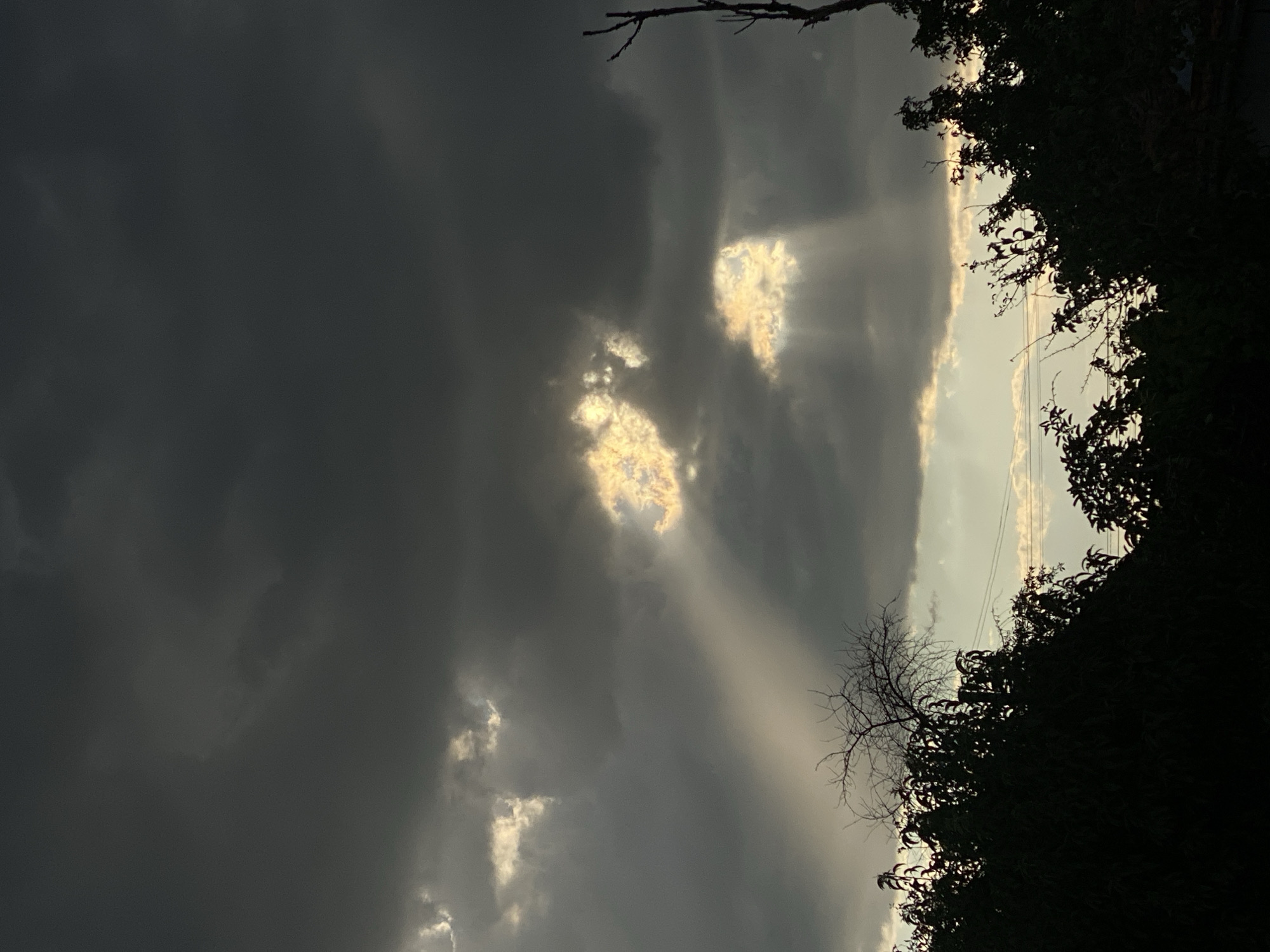 The image depicts a dramatic sky with heavy, dark clouds, characteristic of an approaching storm or the aftermath of one. Two distinct shafts of sunlight pierce through openings in the clouds, creating visible sunbeams that illuminate sections of the sky and cast light downwards. These sunbeams are bright and contrast sharply with the surrounding darkness. The lower portion of the image is silhouetted against the sky, revealing the dark shapes of trees and foliage, some with bare branches suggesting a late autumn or winter season. In the far background, a faint, lighter band of sky is visible below the main cloud layer, hinting at the horizon. The overall mood is somber and atmospheric, with the light breaking through the darkness creating a visually striking effect. The image was taken in Cairaclia, Moldova.