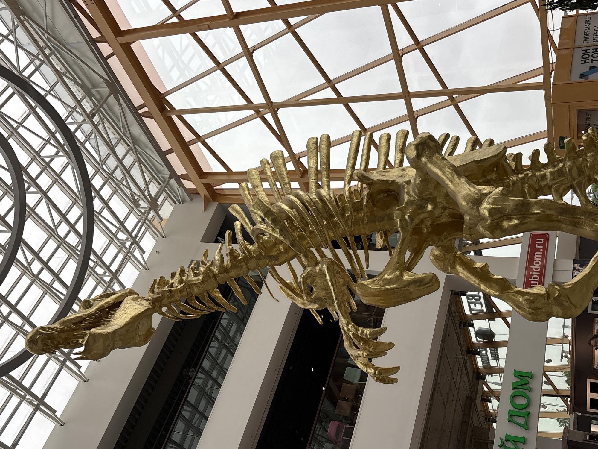 A golden dinosaur skeleton hangs indoors. The skeleton is in a large, modern building in Saint Petersburg, Russia. The skeleton is a focal point of a large shopping center, with storefronts and advertisements visible in the background. The skeleton is facing right, with the head in the lower left and the tail in the upper right of the photo. The skeleton is positioned under a skylight with a visible framework. The structure of the building includes visible steel and glass.