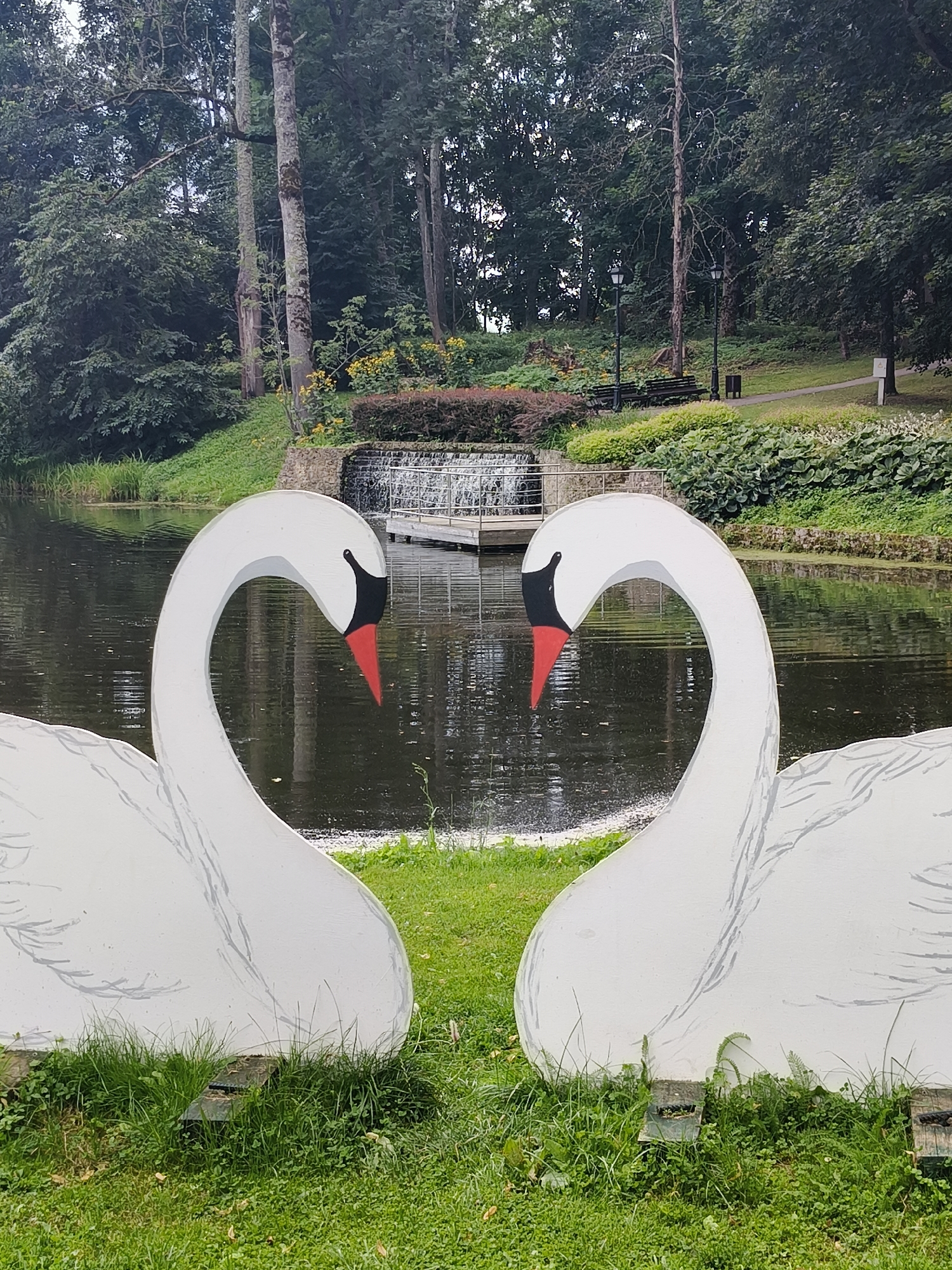 The image shows two large, white, swan-shaped sculptures positioned in the foreground, facing each other. Their necks curve inwards, forming heart shapes. The swans are on a grassy area next to a body of water. In the background, across the water, is a park-like setting with trees, a small waterfall or cascade, and a wooden walkway. The environment appears to be a park or garden. This scene is located in the city of Koknese, Latvia, at the Koknese Castle Mound Park, specifically near the Lielupe River.