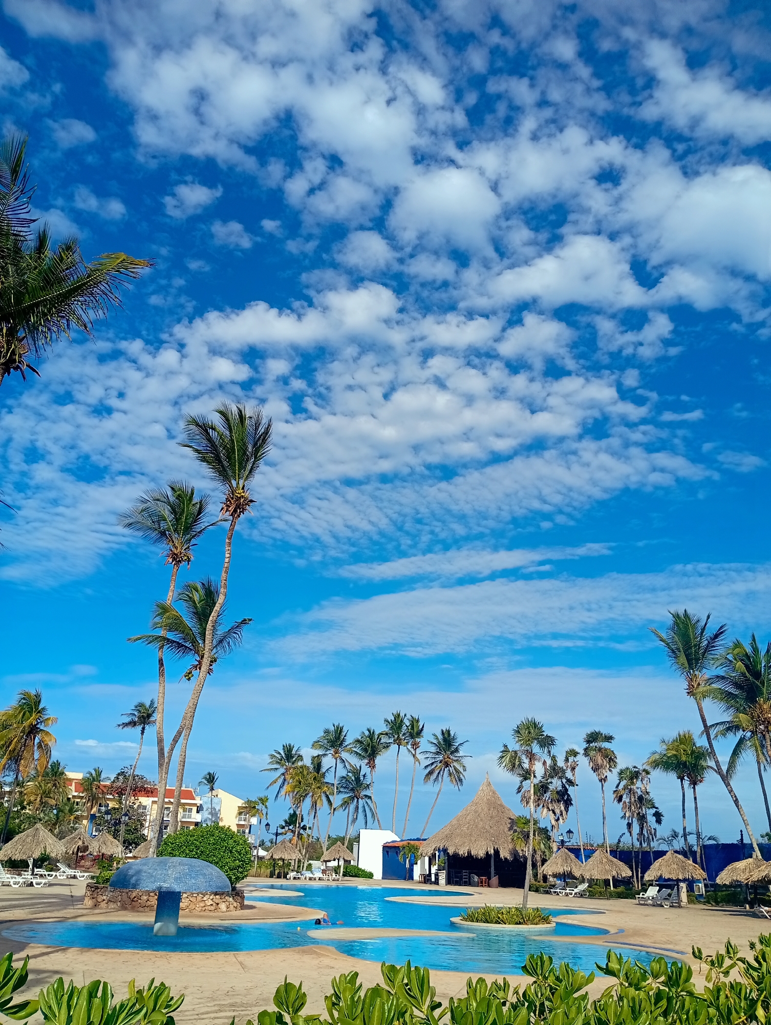 The image depicts a daytime scene at Playa El Agua, Venezuela, featuring a swimming pool area surrounded by palm trees. The sky is blue with scattered white clouds. The pool is filled with blue water and has a mushroom-shaped structure with a blue tiled surface in the center. Several thatched-roof structures, likely for shade, are situated around the pool. Green foliage is visible in the foreground. Buildings with red roofs are visible in the background behind the trees. Deck chairs are placed around the pool, suggesting a resort or recreational area. No people are clearly visible in the image.