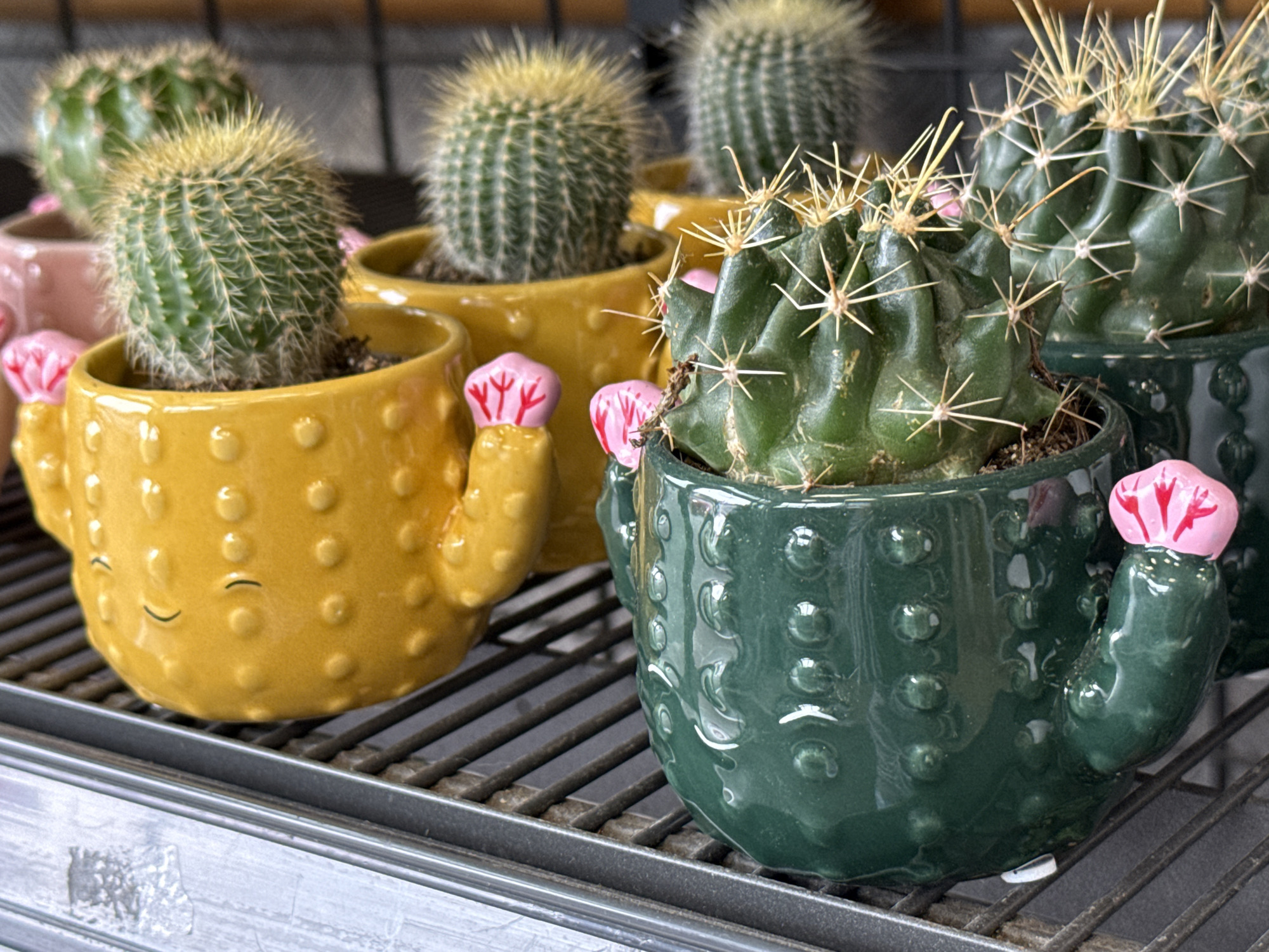 The image shows a close-up of several small potted cacti on a metal shelf. The pots are shaped like cartoonish cacti with arms and faces. The cactus in the foreground is in a dark green pot, while the one to its left is in a bright yellow pot. Both have pink flower-like decorations on their arms. In the background, other cacti are visible in different colored pots. The scene appears to be an indoor display, possibly in a store. The location provided, Herzberg, Germany, is not visually verifiable from the image content.