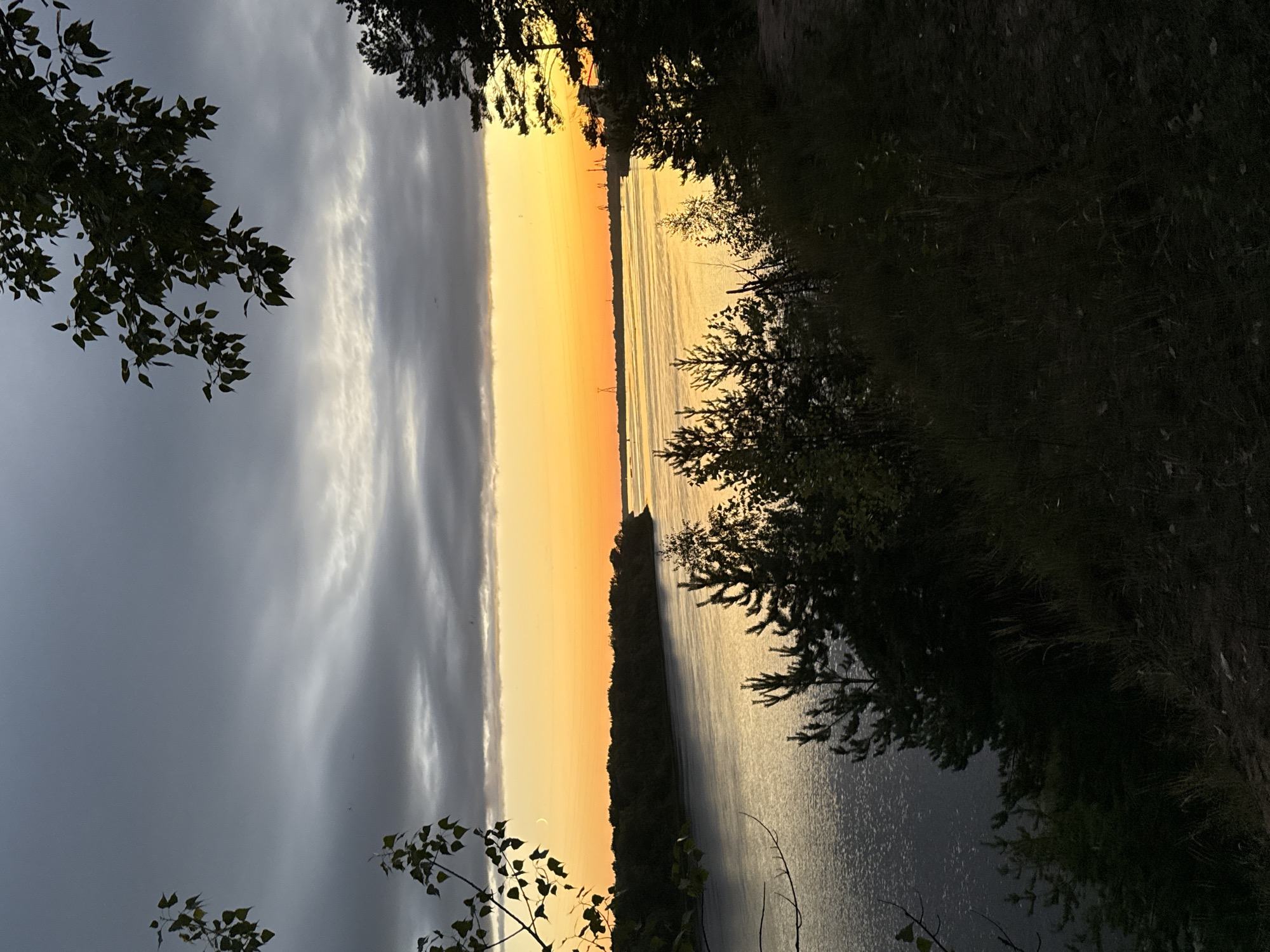 This image depicts a river scene at sunset in the city of Bor, Russia. The sky is a dramatic mix of dark grey clouds and vibrant orange and yellow hues near the horizon, indicating the setting sun. A thin crescent moon is visible in the upper left quadrant of the sky. The river, which appears wide, reflects the colors of the sky. On the far bank, a dense forest lines the water's edge. In the distance, along the horizon, industrial structures and cranes are faintly visible, suggesting a port or industrial area. In the foreground, silhouetted trees and vegetation, including pine trees and tall grasses, frame the view. The ground in the immediate foreground is a dirt path with some dry grass and leaves. No people are visible in the image.