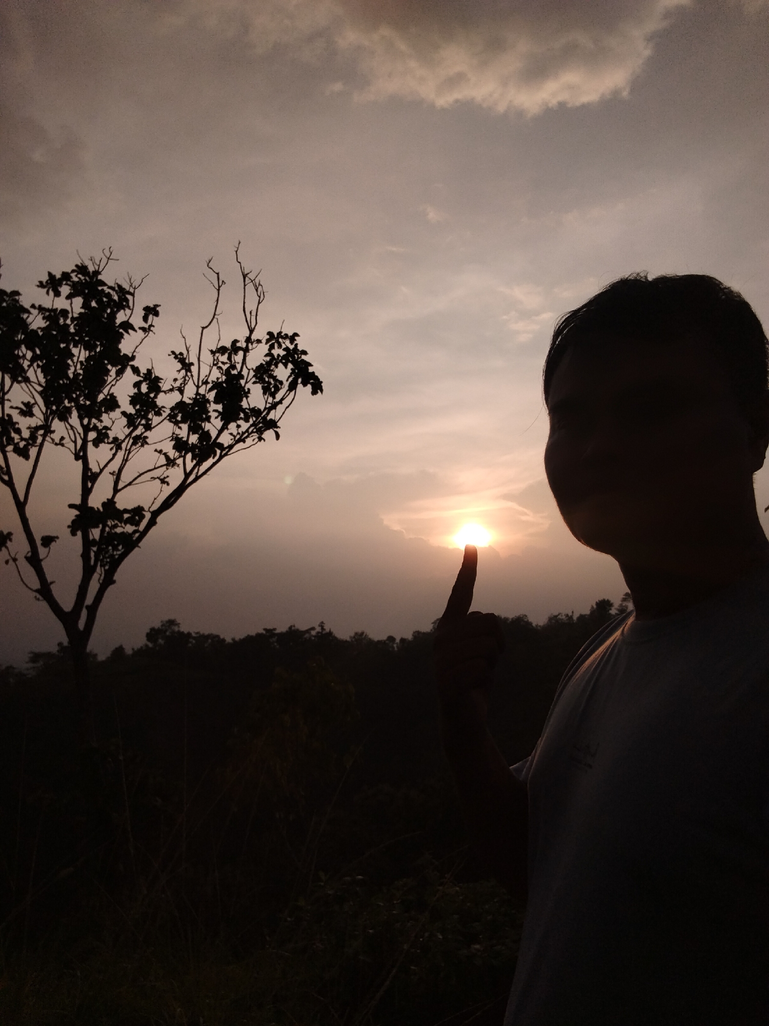 A silhouette of a person pointing a finger at the setting sun is positioned to the right of a leafless tree. The person is wearing a light-colored t-shirt. The background reveals a cloudy sky, and a dark, forested area is visible at the bottom of the image. The location is undetermined; no identifiable city or location is apparent.