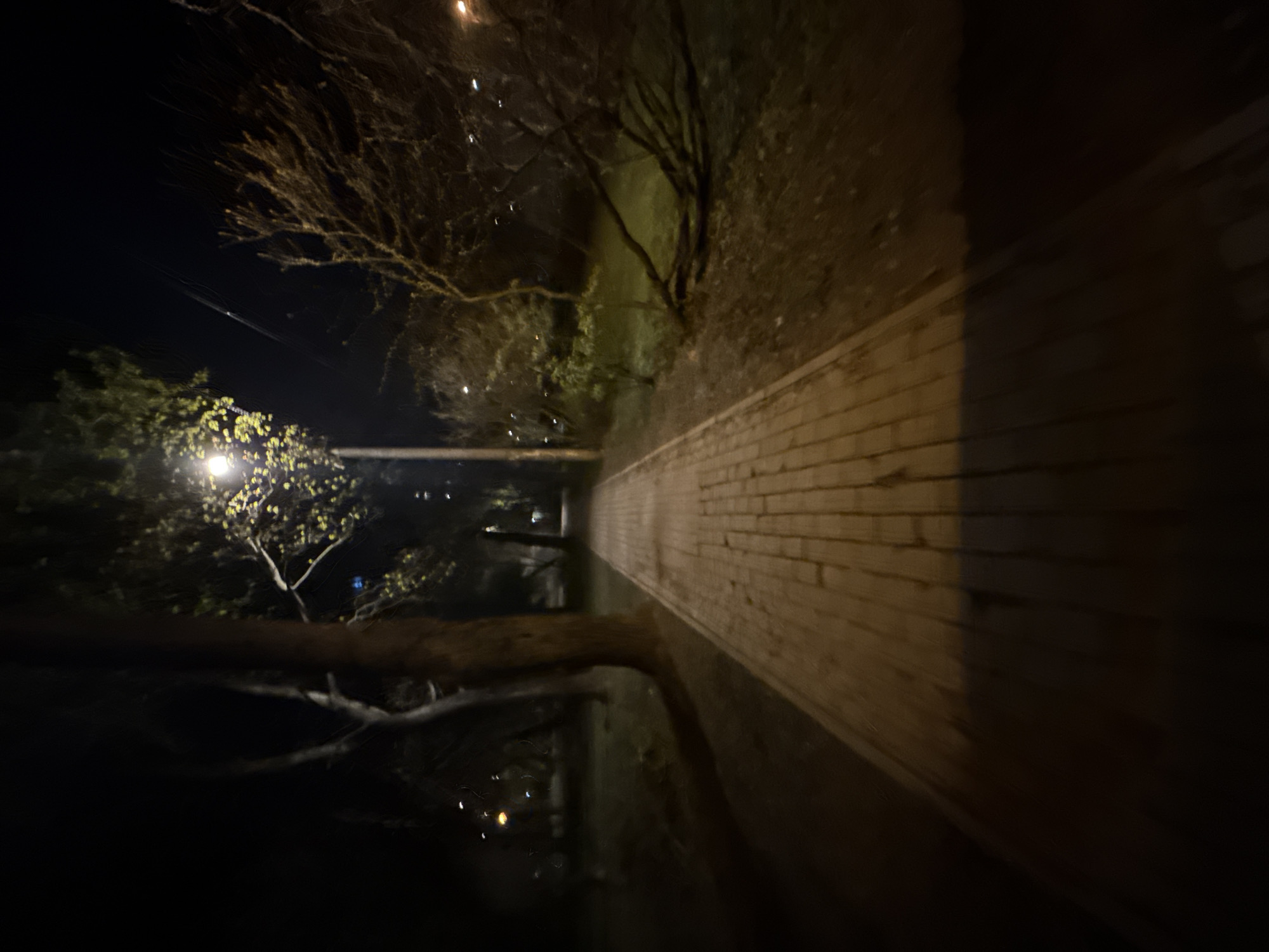 At night, a pathway extends into the darkness. The pathway, constructed of rectangular stones, leads from the lower right corner toward the center. To the left, a tree with bare branches reaches into the night sky. Another tree with foliage lit by a lamp is visible on the far left. This may be a park in Mytishchi, Russia.