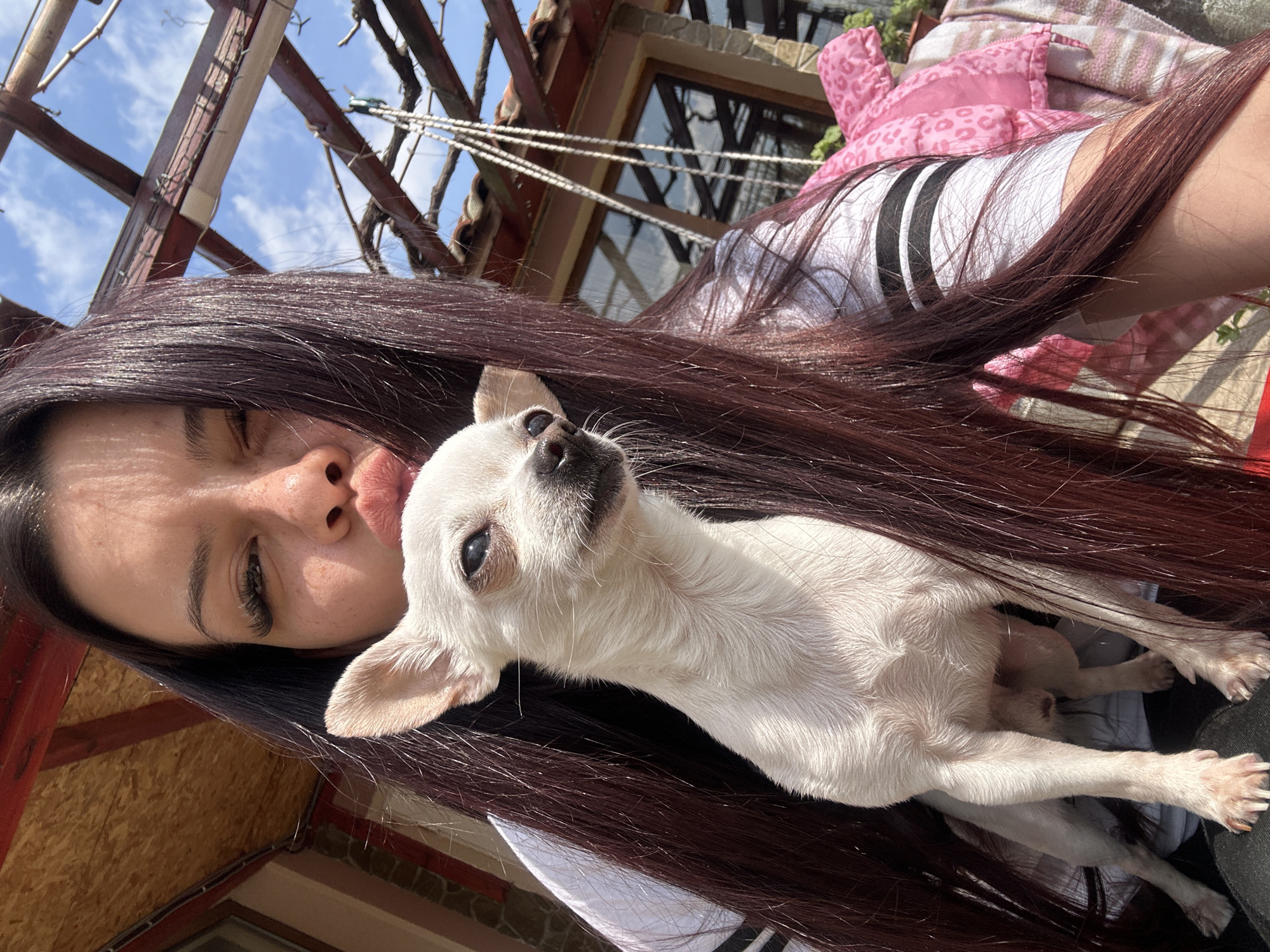A woman is holding a small, white Chihuahua dog. The woman is fair-skinned with dark brown hair, eyelashes, and a pouting expression. She is wearing a white t-shirt with three black stripes on the sleeves. The dog is mostly white with darker markings around its eyes and nose. The background shows the outside of a house, with wooden beams, a window, and pink bedding visible. The location is Chubra, Bulgaria.
