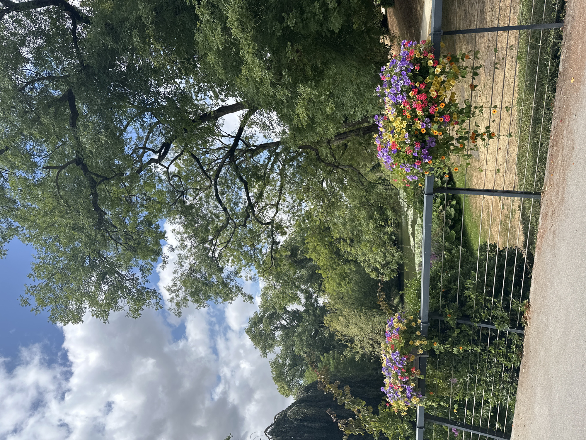 This media file captures a vertical view of a garden setting, likely in Bruges, Belgium. The foreground is dominated by lush green trees and a bright blue sky dotted with fluffy white clouds, suggesting a pleasant daytime, possibly late morning or early afternoon. A metal railing runs horizontally across the frame, adorned with two vibrant hanging baskets overflowing with a colorful assortment of flowers. The baskets feature a mix of purple, yellow, pink, and red blooms, creating a cheerful and inviting display.
Beyond the railing, a grassy area and further foliage are visible, hinting at a park or garden environment. The overall impression is one of natural beauty and tranquility, with the colorful flowers providing a focal point against the backdrop of greenery and sky. There is no visible text in the image, nor are there any people or specific activities depicted. The focus is solely on the scenic arrangement of nature and decorative floral elements.