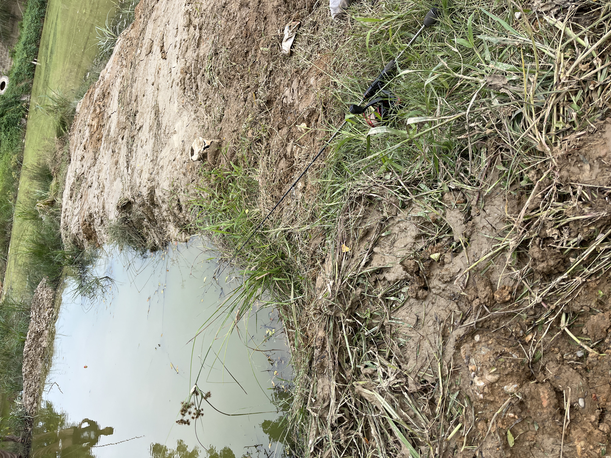 This media file depicts an outdoor scene in Benuaraja, Indonesia, featuring a muddy bank adjacent to a body of murky, greenish water. The water's surface shows reflections of the sky and surrounding vegetation, with some debris and aquatic plants visible. A prominent pile of loose, sandy soil dominates the left side of the frame, creating a distinct embankment.
The bank itself is covered in overgrown, dry grass and mud. A fishing rod with a reel is lying on the grass, suggesting an activity related to fishing or leisure. Scattered on the mud and grass are various pieces of litter, including what appear to be white plastic bags or wrappers and possibly some animal remains. The overall impression is one of a somewhat neglected or wild natural area, possibly a pond or a slow-moving body of water. The lighting suggests it is daytime, and the weather appears to be overcast or hazy, given the muted tones of the scene. There are no people visible, and no text is discernible in the image.