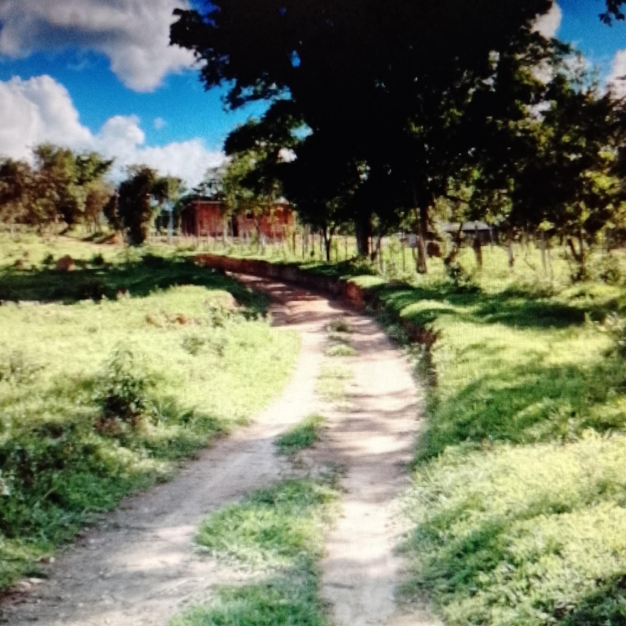 A rural dirt road curves upward through a grassy field towards a pair of brick buildings in the distance, partially obscured by trees. A wire fence is visible behind the buildings and trees, marking a boundary. The sky is blue with scattered white clouds. The foreground is dominated by green grass and the dirt road, which shows signs of wear. Shadow patterns from the trees dapple the ground. The location is presumed to be in a rural area of Unknown, Unknown.