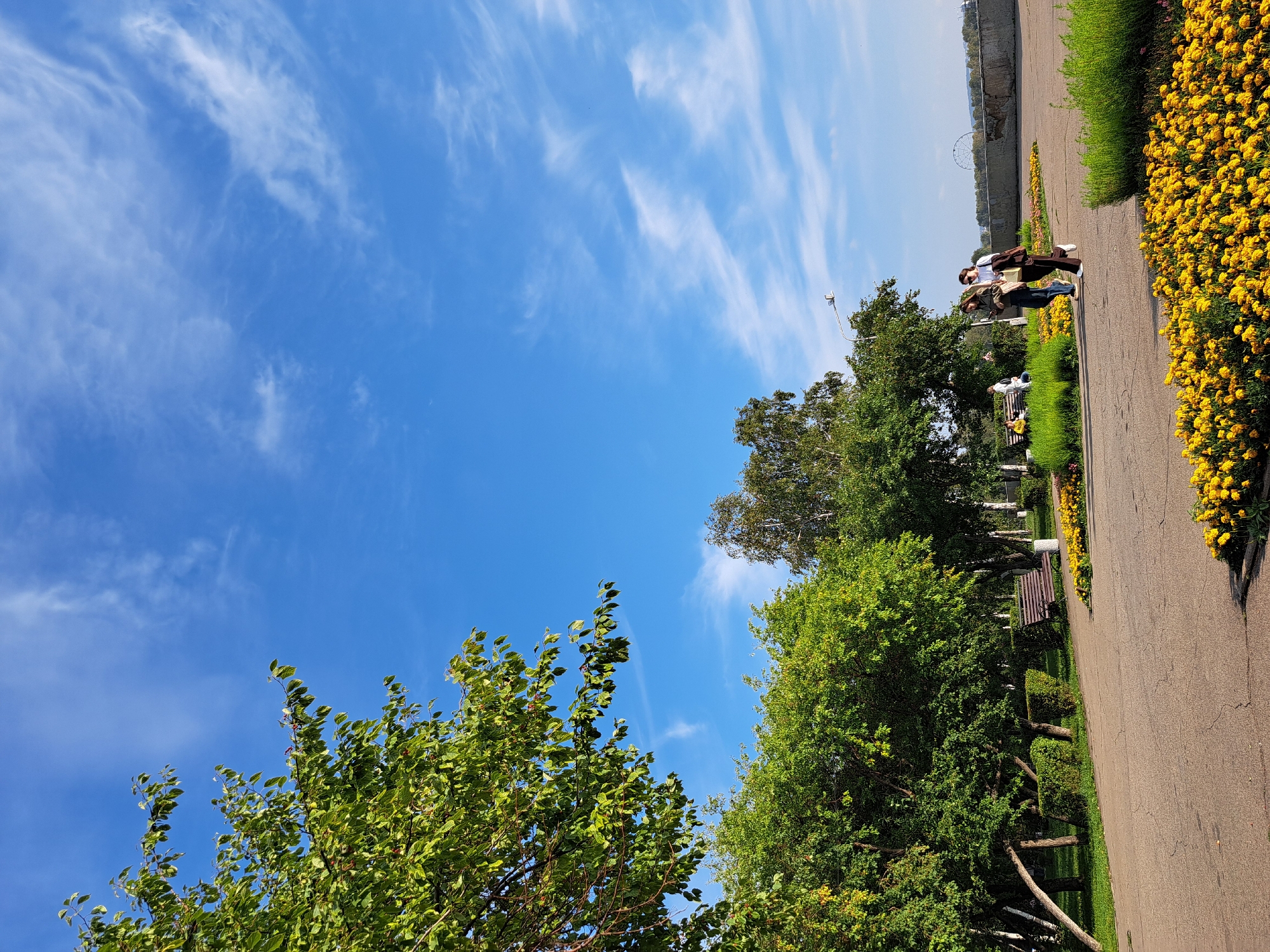 On a bright, sunny day in Irkutsk, Russia, a paved pathway winds through a park dotted with lush green trees and vibrant yellow flowers. Two young women walk along the path, engrossed in conversation, while a few other individuals relax on park benches in the background. The sky above is a brilliant blue, streaked with wispy white clouds. The overall atmosphere is one of peaceful leisure, characteristic of a pleasant day in the city.
