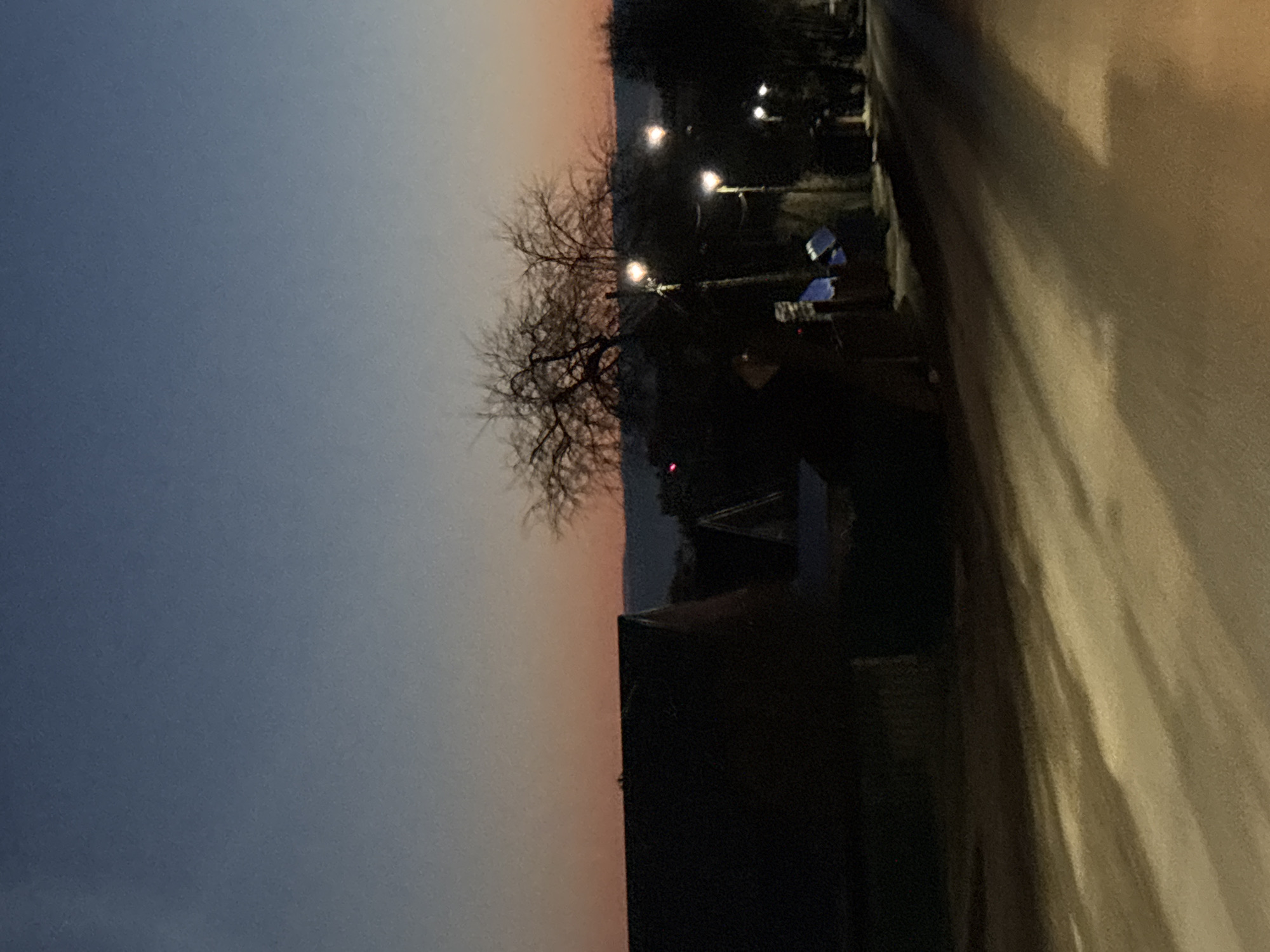 The image shows a street scene in Chaikovsky, Russia, at dusk. The sky transitions from dark blue to orange near the horizon. A bare tree is visible against the sky. Streetlights illuminate the scene. A building is on the left side. A road is on the right side, with shadows cast upon it. No people are visible.