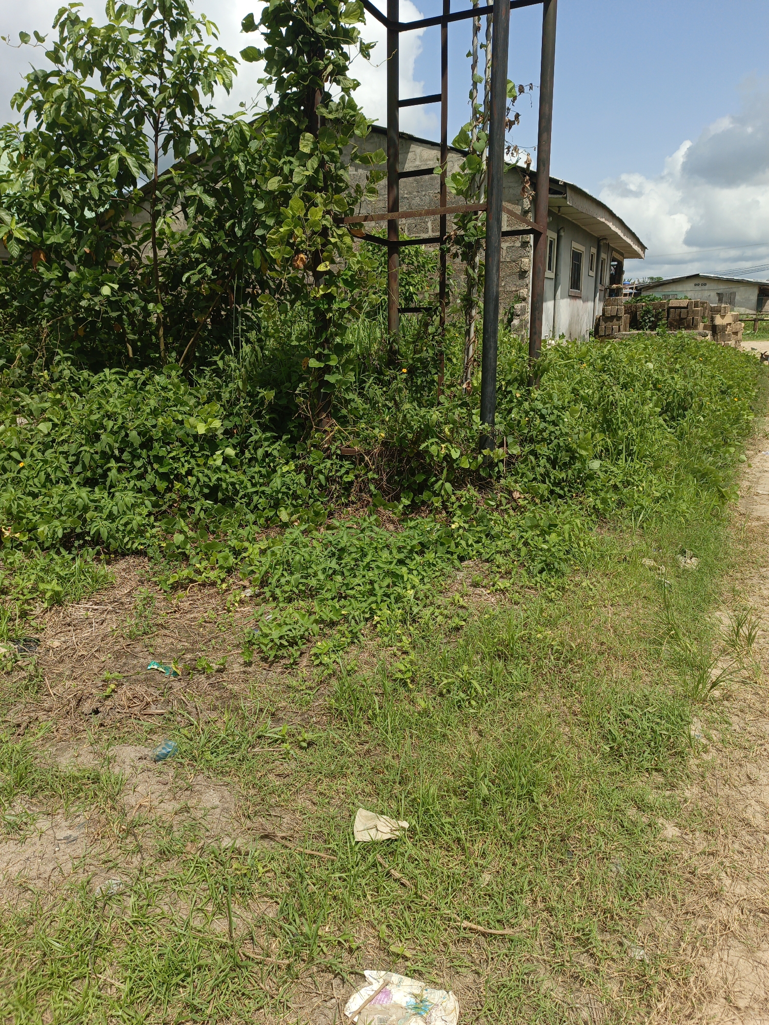 The image shows a building in Unknown, Unknown, partially obscured by vegetation. The building is constructed of concrete blocks, with a rusted metal structure nearby. The foreground is covered in weeds, grass, and discarded plastic bags. In the background, another building is visible behind a pile of bricks. The sky is blue with scattered clouds.