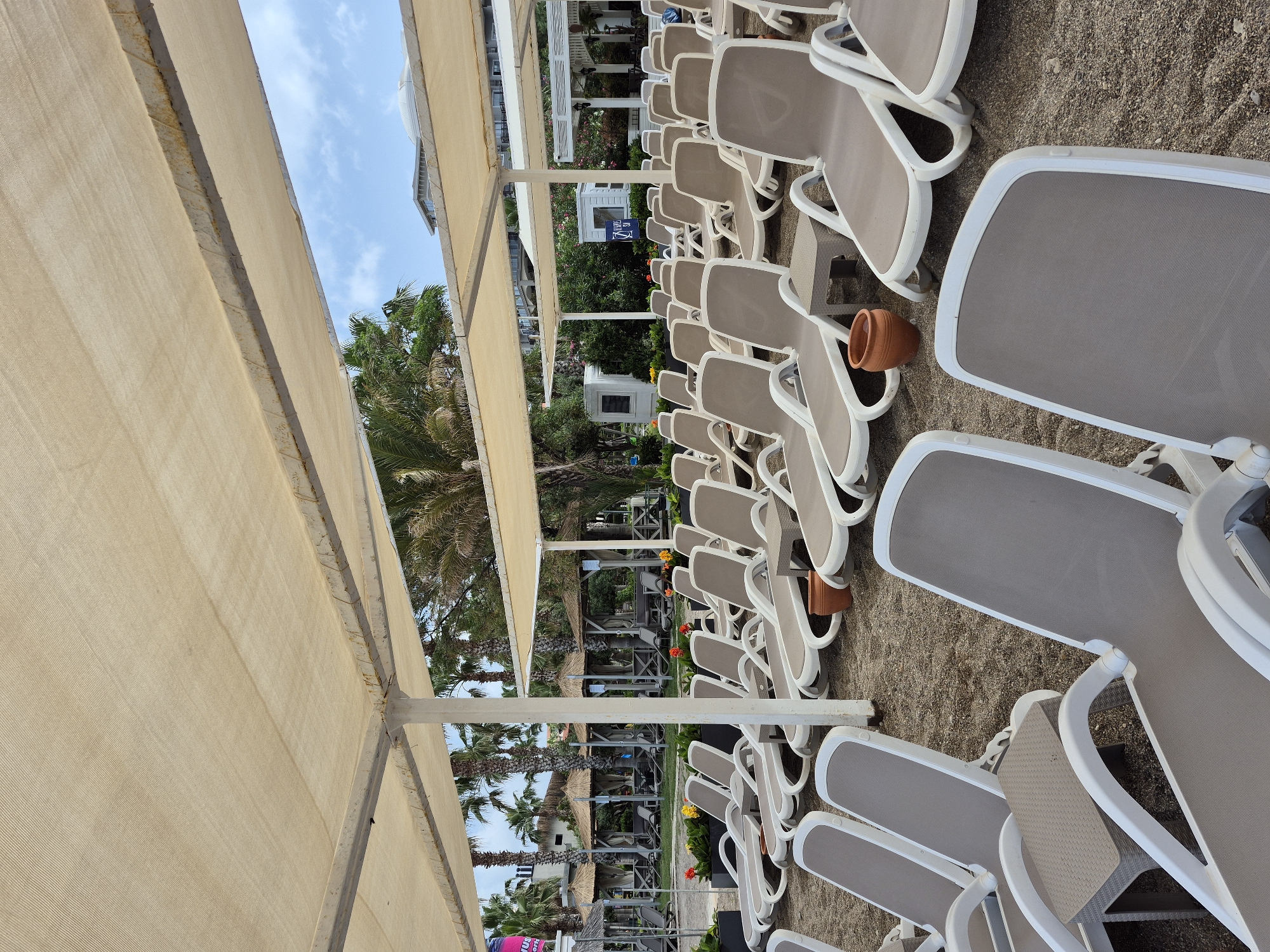 The image captures a beach scene in Alanya, Turkey. Numerous empty, arranged white and grey lounge chairs occupy a sandy ground. A beige sunshade structure covers the left side of the scene, with palm trees and buildings visible in the background. No individuals are present. An orange clay pot sits amongst the chairs.