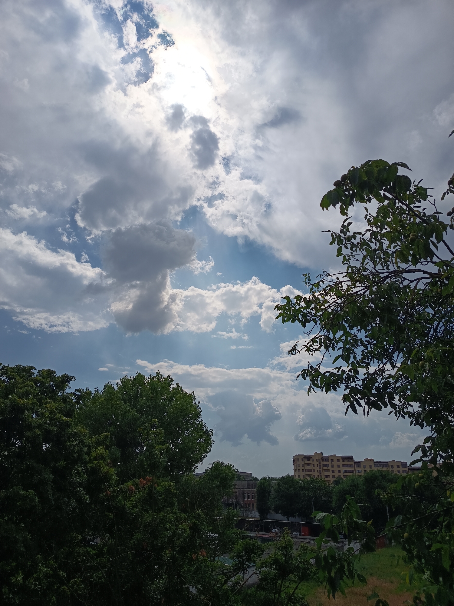 The image captures a view of the sky over Izmail, Ukraine, with a blend of sunlight and clouds. The upper portion of the frame is dominated by a bright sky with scattered cumulus clouds, some of which are illuminated by the sun, creating a dramatic effect. A sliver of intense sunlight is visible in the upper center of the image. In the foreground, on the right side, a tree with green leaves and some small round fruits is partially obscuring the view. On the left side and in the lower part of the image, dense green trees are visible, creating a natural border. Beyond the trees, in the middle ground and background, several buildings are discernible. These include what appear to be apartment buildings with light-colored facades and multiple windows, as well as some lower-rise structures. The overall impression is of an urban landscape integrated with natural elements under a dynamic sky.