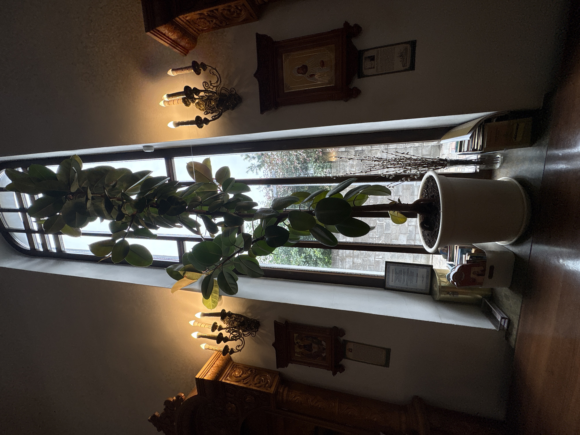 The image depicts an indoor scene featuring a large potted plant with glossy green leaves positioned in front of a window. The plant is in a white pot, and next to it, on a windowsill, is a clear glass vase filled with dried branches, likely pussy willows. Behind the vase, several books are neatly stacked. The window itself is large and divided by mullions, offering a view of an overcast, possibly wintry, outdoor scene with bare trees.
The room appears to be decorated with religious iconography. On the wall to the right of the window, a framed icon depicting a religious figure is mounted. Below it, another framed document or picture is visible. To the left of the window, a decorative wall sconce with three candle-like lights illuminates the space. Below the sconce, ornate wooden carvings are visible, suggesting an antique or traditional interior design. Another similar icon and framed document are mounted on the wall below the window, with more elaborate wooden carvings beneath them. The overall lighting is dim, with the sconce providing a warm glow, indicating it might be evening or a cloudy day. The floor appears to be polished wood. The location is identified as Sestroretsk, Russia. No people are visible in the image.