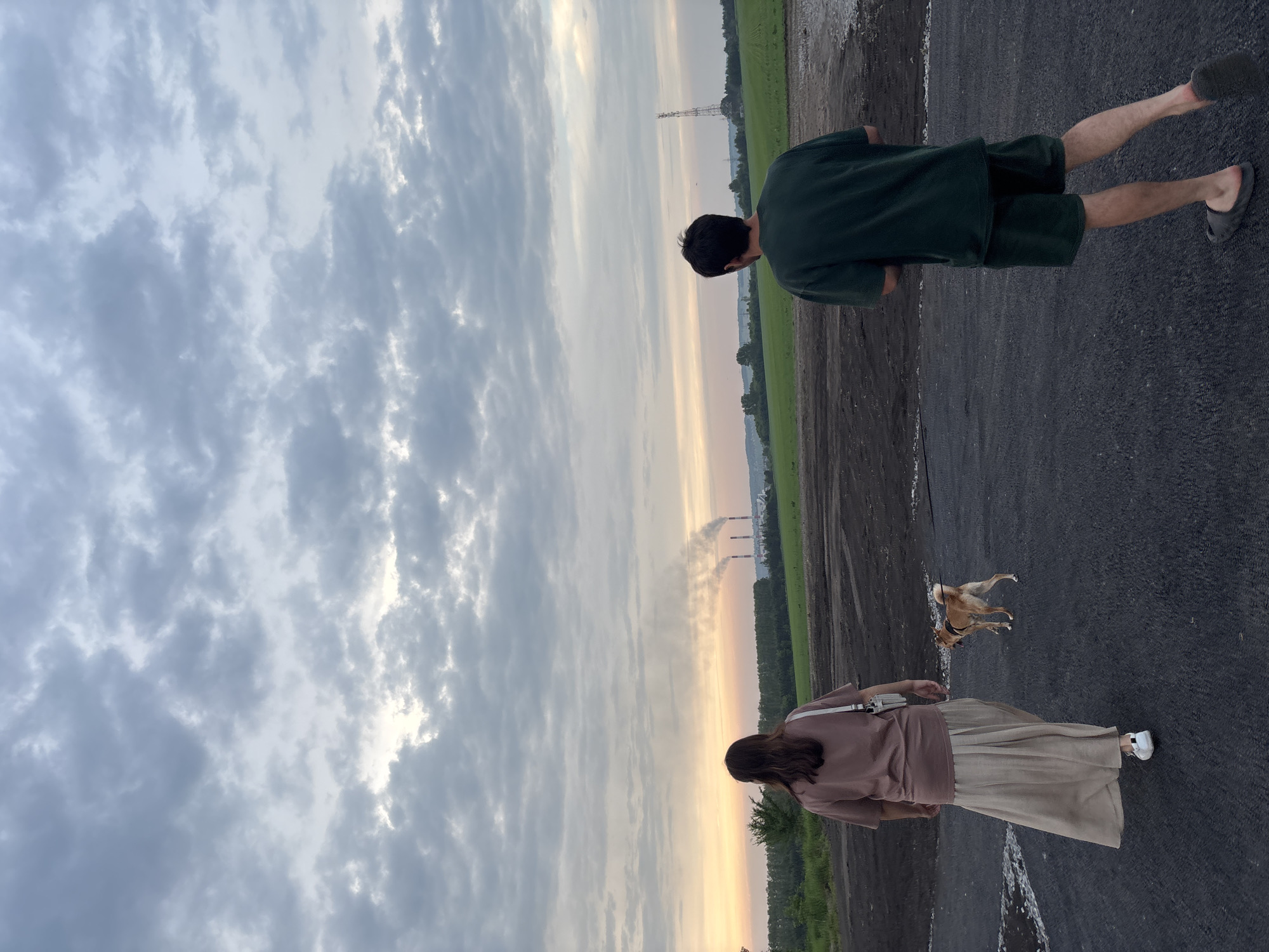 In Vishnevka, Russia, two individuals and a dog stand facing away from the camera on a dark, asphalt-covered area. The person on the left, wearing a taupe t-shirt and a long, beige skirt, walks with a white bag over their shoulder. To their right, a small, light-brown dog on a leash is looking towards the left. The person on the right wears a dark green t-shirt and dark green shorts, with gray slides on their feet. The background features a vast, open field with scattered trees and a power line tower in the distance. A faint haze of smoke rises from what appear to be industrial chimneys on the horizon. The sky is overcast with dramatic, gray clouds.