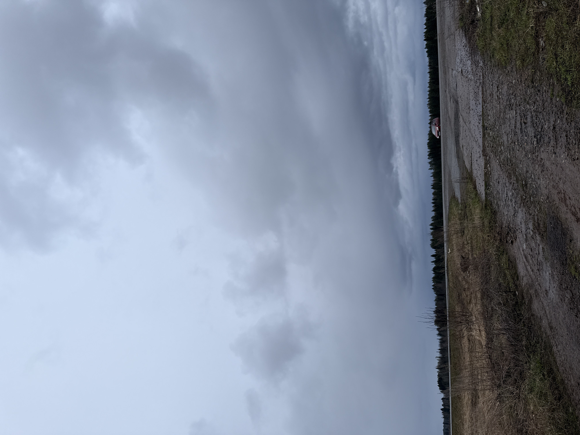 The image, taken in Povarenki, Russia, presents a desolate rural landscape under an expansive, overcast sky. The horizon is dominated by a dense, dark line of coniferous trees stretching across the frame, separating the sky from the terrestrial elements.
The upper portion of the image is filled with a vast expanse of heavy, grey clouds, indicating an overcast day with no direct sunlight. The lighting is diffused and even, suggesting either a gloomy daytime or perhaps twilight.
Below the tree line, on the right side of the image, runs a prominent dirt or gravel road, which appears damp and rugged. On the left side of this road, the ground is covered in dry, light brown grass and sparse, bare bushes, characteristic of a late winter or early spring environment.
A small, dark red or maroon car is visible on the road in the mid-ground, positioned slightly to the right of the center, facing the viewer. Its front is partially visible, suggesting it is either parked or moving slowly. No people are visible in the scene, and no specific activity is taking place other than the implied presence of the car. There is no visible text. The overall impression is one of quiet solitude and natural austerity under a subdued sky.