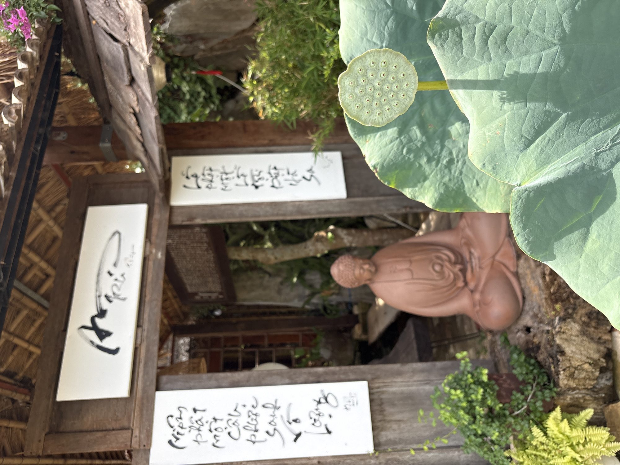 The image depicts the entrance to what appears to be a Vietnamese Buddhist temple or retreat in the city of Đà Nẵng, Vietnam. A large, light-colored sign with black calligraphy is mounted above the entrance, framed by a thatched roof and wooden beams. To the left of the entrance, a vertical sign with similar calligraphy is attached to a wooden post.
In front of the entrance, a reddish-brown statue of a seated Buddha is positioned on a moss-covered rock. To the left of the Buddha statue, a potted green plant with fern-like leaves is visible. In the foreground, a large, green lotus leaf dominates the lower portion of the frame, with a lotus seed head emerging from its center. The background shows lush green foliage and a rocky outcrop. The overall atmosphere is serene and contemplative, characteristic of a place of worship or meditation.