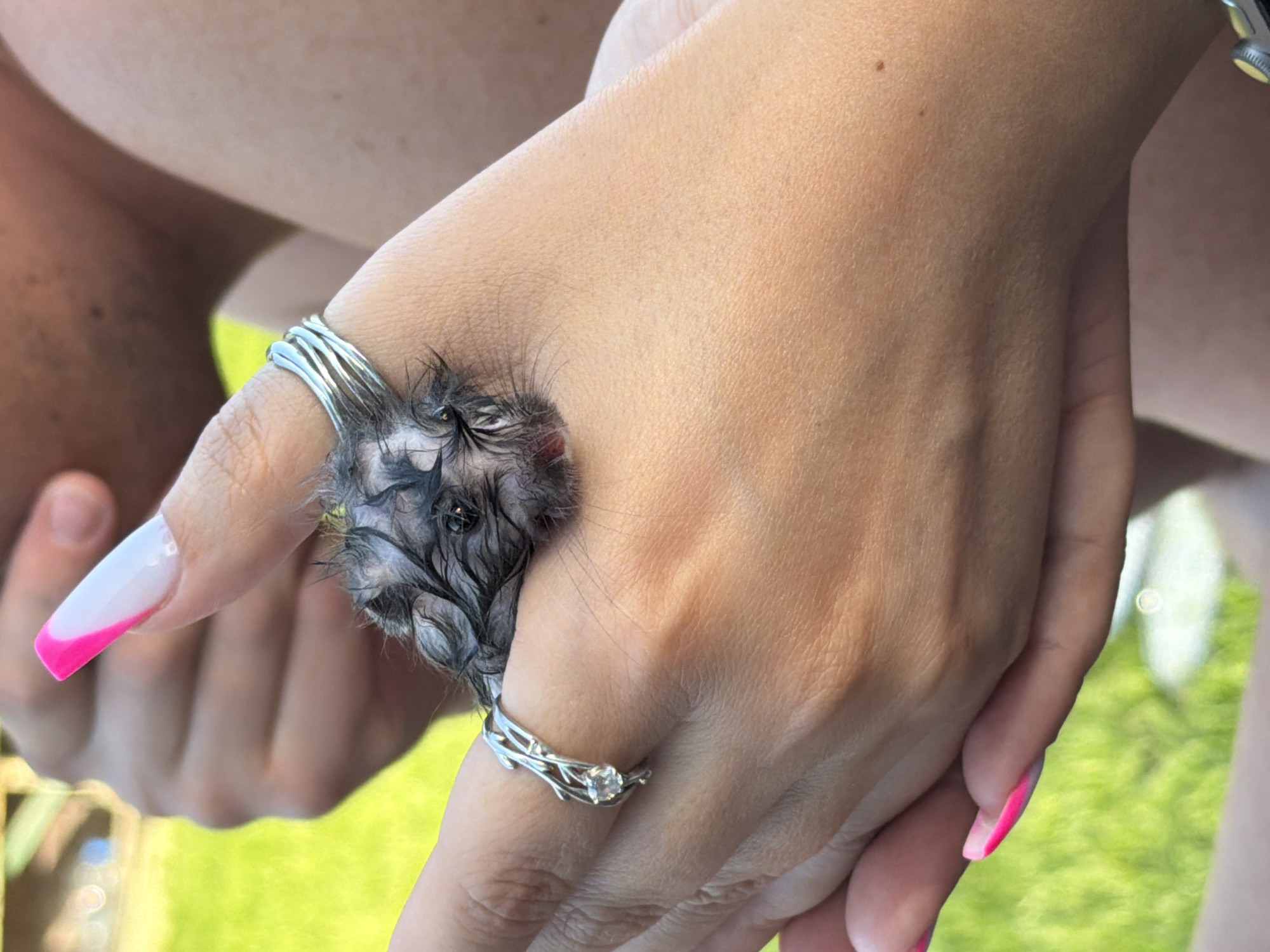A close-up shot shows a person's hand, adorned with two rings, holding a very small, wet, dark-furred animal (possibly a rodent or small mammal) within the ring-space of the middle finger. The animal appears to be distressed or injured. The hand has a pink-and-white manicure. The background is blurred, showing hints of green foliage and other ambiguous shapes. The image's location in Chaikovsky, Russia is not apparent.