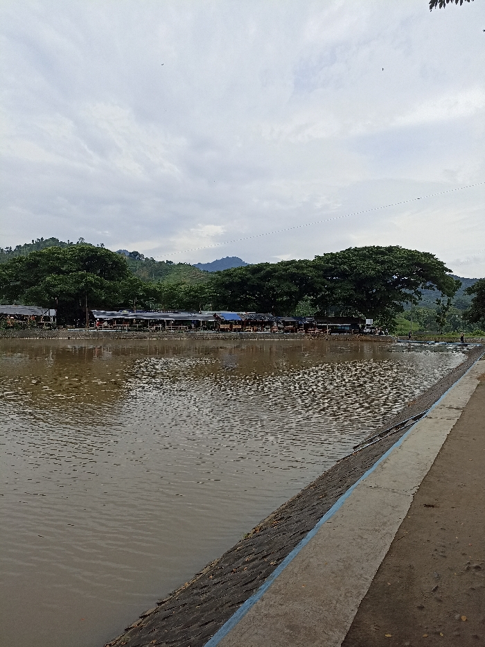 The image presents a serene landscape featuring a wide body of brown, rippled water in the foreground and midground. On the distant bank, a series of small, open-air structures, likely eateries or shelters, are nestled beneath the canopy of large, verdant trees. Behind these, rolling, forested hills extend into the background under a cloudy, overcast sky.
A concrete path with a blue-edged, stone-faced embankment runs along the right side of the water, defining the immediate foreground. The water's murky, brownish color suggests natural sediment or local conditions. A few indistinct figures can be faintly seen on the far bank, near the structures, and one person appears to be standing further to the right near a shallow area extending into the water.
The scene depicts a calm daytime setting under an overcast sky, with diffuse light. Faint power lines are visible stretching across the upper sky. The lush greenery of the trees and hills, combined with the body of water, evokes a tranquil, natural environment. The general setting suggests a recreational or leisure area by the water, possibly in a rural part of Kepung, Indonesia. There is no visible text in the image.