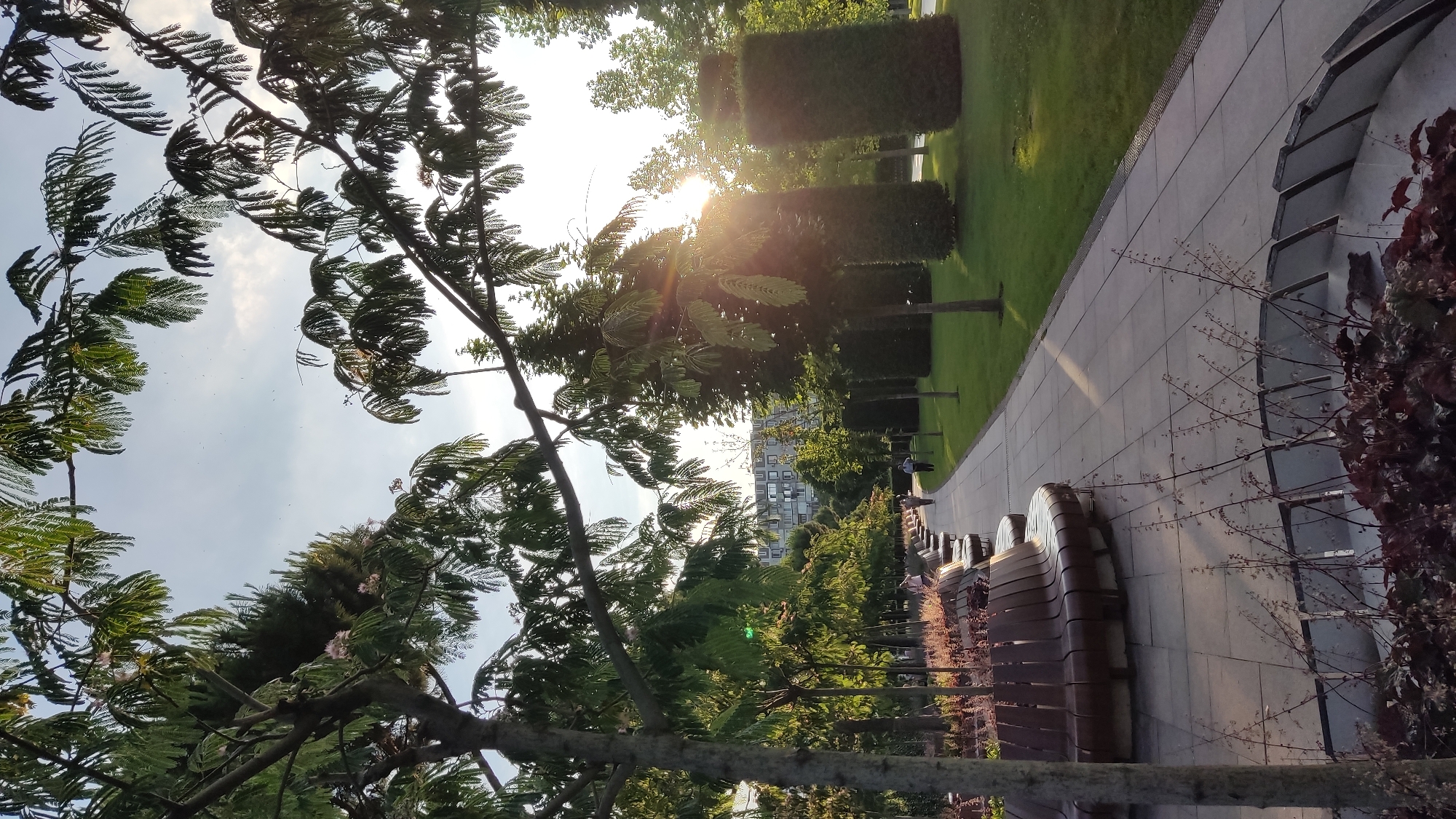 The image captures a park-like setting on a bright day. The foreground is dominated by the lush green foliage of trees, with sunlight filtering through the leaves, creating a dappled effect. In the middle ground, a paved walkway runs alongside a neatly manicured lawn. Several individuals are visible walking along the path.
Beyond the lawn, there are rows of trees, some of which are shaped into cylindrical forms. In the background, a modern building with numerous windows stands against the sky. The overall scene suggests a public outdoor space, possibly a city park or urban garden, designed for leisure and relaxation. The sunlight and clear sky indicate fair weather, likely during the daytime. There is no visible text in the image.