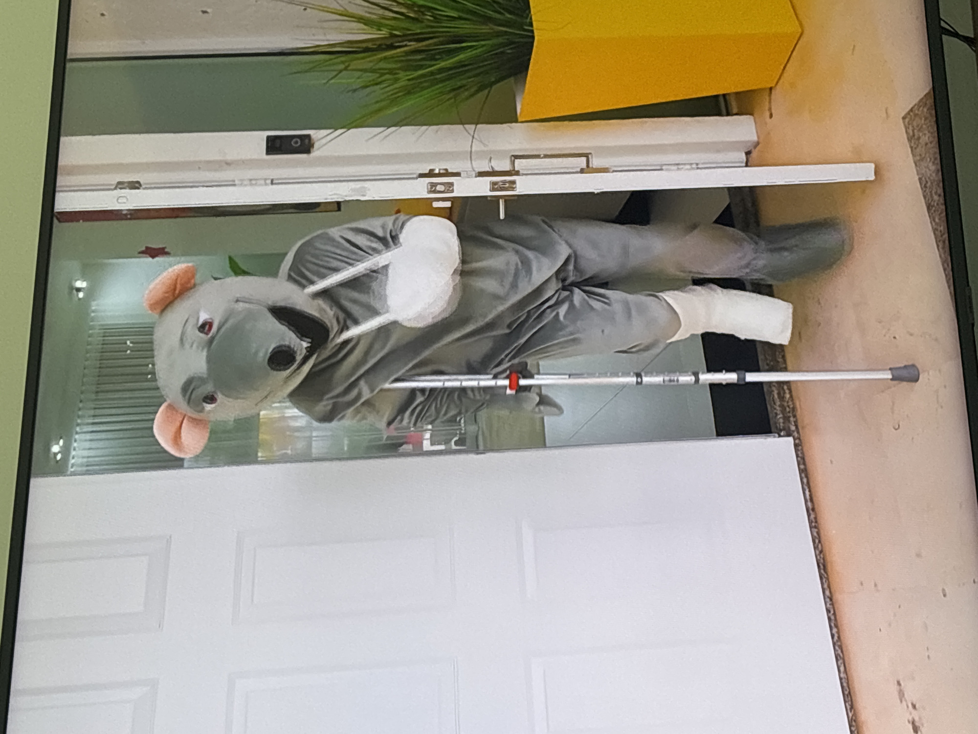 A person in a gray mouse mascot costume is walking through a doorway. The costume features large pink ears, a gray furry head with a black nose and mouth, and a gray jumpsuit. The mascot's left arm is in a white sling, and its right leg is encased in a white cast. The mascot is using a metallic crutch to assist with walking. The scene appears to be indoors, with a white door on the left and a white door frame on the right. Behind the mascot, a glimpse of an interior space with vertical blinds is visible. To the right of the doorway, a tall, bright yellow planter holds a lush green plant. The flooring is a light-colored surface with some faint markings. The overall lighting suggests an interior environment. The location is not specified in the image.