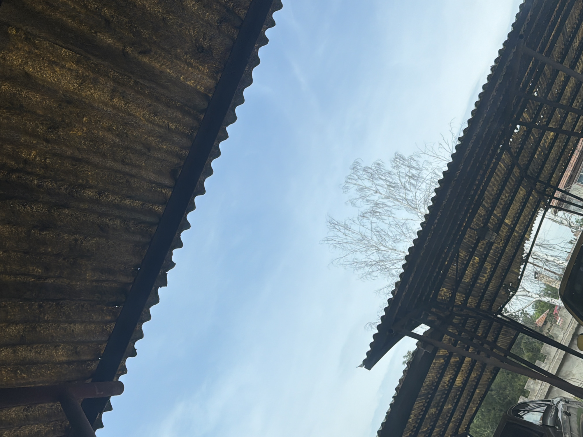 The image shows a view looking up at the sky from under two corrugated metal roofs. The roof on the left is closer to the viewer. A bare tree is visible in the center of the image, framed by the roofs. The sky is light blue with some wispy clouds. On the right side, parts of vehicles and possibly a building are visible under the right roof. It is unknown if the location is Dolna Mitropolia, Bulgaria.
