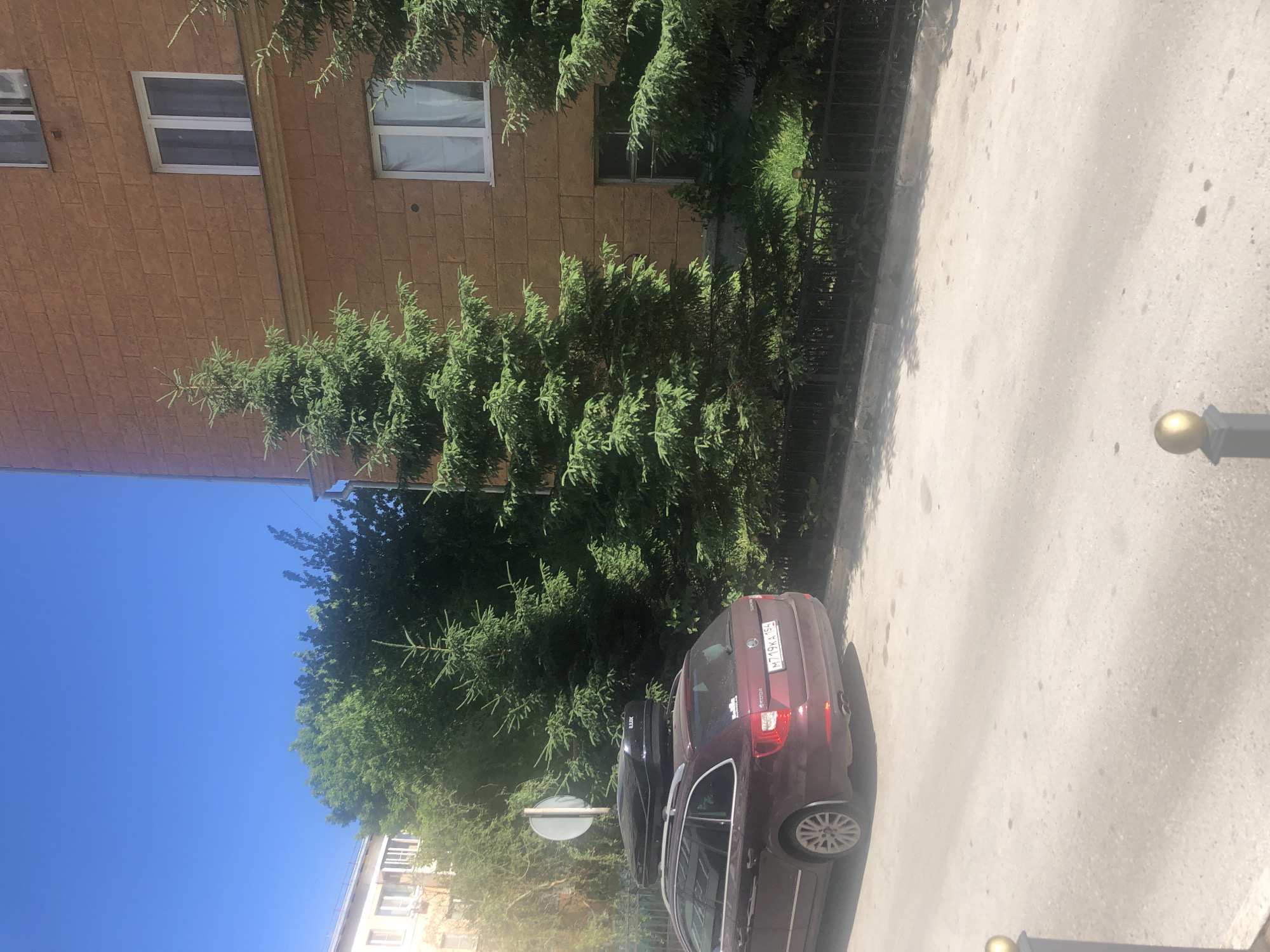 A parked burgundy station wagon with a black roof box is seen on the side of a street. The car has a license plate that reads "M719KA 154". Behind the car, there are several evergreen trees and a fence. To the right of the trees, a tan brick building with several windows is visible. The sky is clear and blue. The overall scene suggests a residential area on a sunny day.