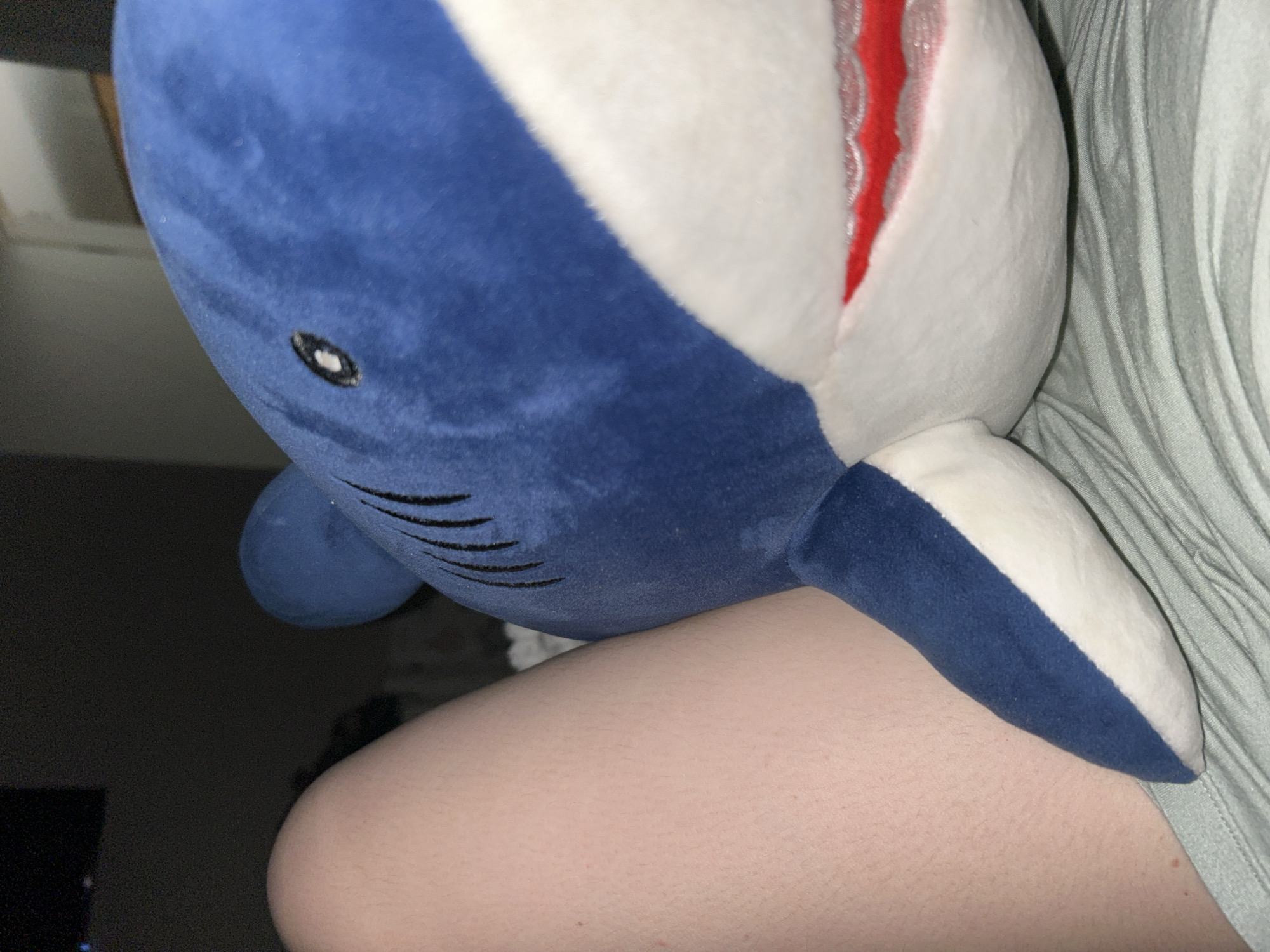 An indoor, close-up shot features a plush shark toy resting against a person's leg, likely in Chaikovsky, Russia. The shark, primarily blue on its dorsal side and white on its belly, has an open mouth revealing a vibrant red interior with sparkling silver accents, suggesting teeth or gills. A single black, oval-shaped eye with a white pupil is visible on the blue side of its head, and faint black lines near its lower front indicate gills. The toy's soft, velour-like texture is discernible.
The shark plush is positioned so its body rests on the upper part of a bare human leg or thigh, which is light-skinned with fine hair. To the right of the shark, a light-colored, possibly white or pale green, fabric with distinct horizontal folds and ridges can be seen, suggesting bedding or draped clothing. The background on the left is dark and out of focus, indicating low lighting, possibly evening or night, with a faint lighter area in the far upper left. No text is visible in the image.
