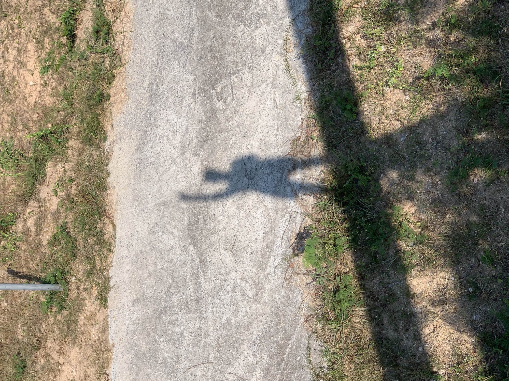 The image shows an outdoor scene in บ้านบางรักษ์, Thailand. A concrete sidewalk is visible with grass and dirt along both sides. The shadow of what appears to be a person with outstretched arms is cast on the sidewalk. A longer, darker shadow of a vertical object, possibly a pole or tree trunk, falls across the sidewalk and extends onto the grass on the right. A metal pole is partially visible on the left edge of the frame.