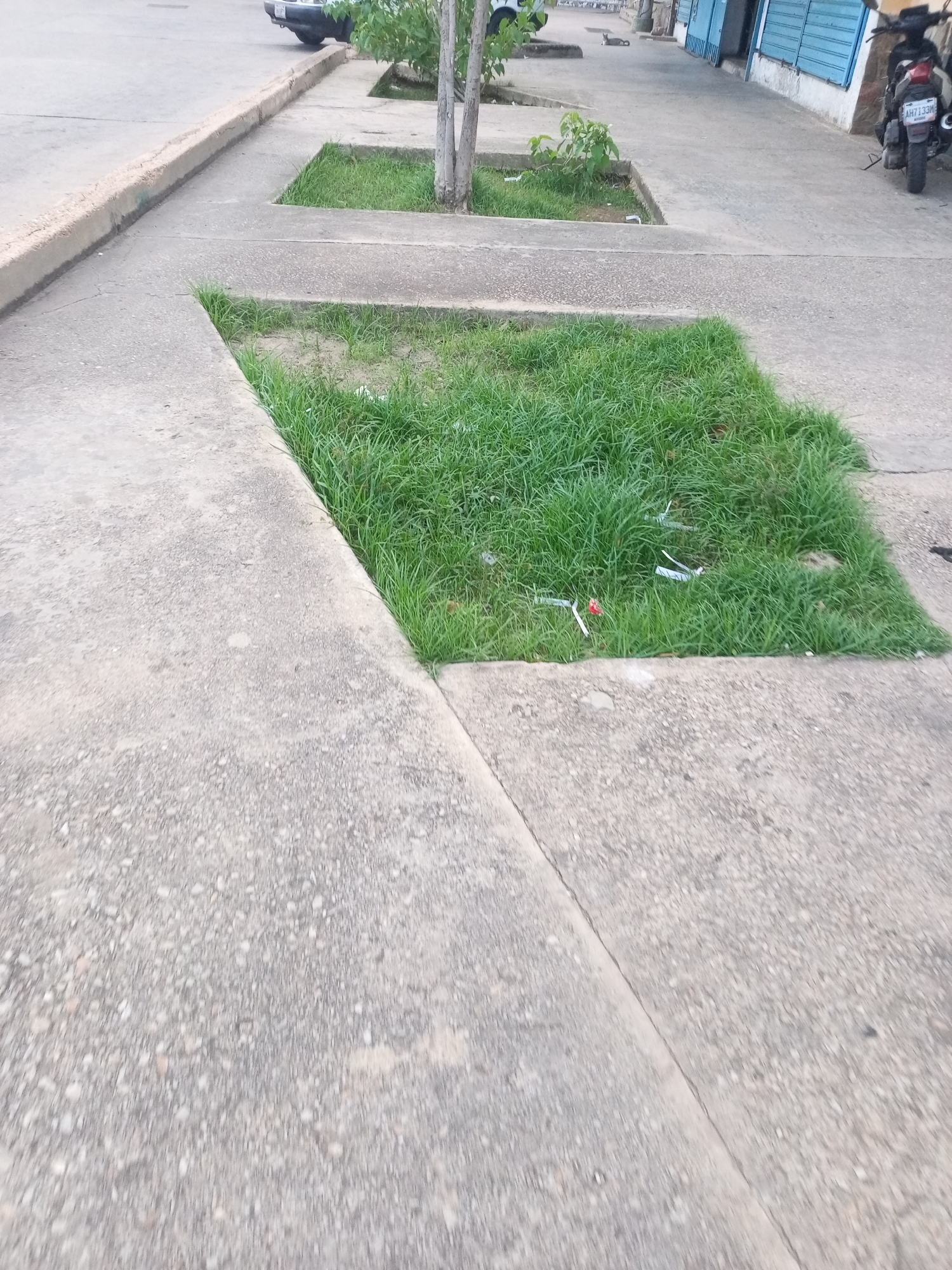 The image shows a sidewalk with several small grassy plots. The foreground is dominated by a concrete path. In the middle ground, there are two square grassy areas, one in front of the other, with a tree trunk visible in the background. Some white and red objects, possibly trash, are scattered in the grass. Beyond the grassy plots, there is a paved area with buildings and a motorcycle parked on the right. The scene appears to be a public space in a city.