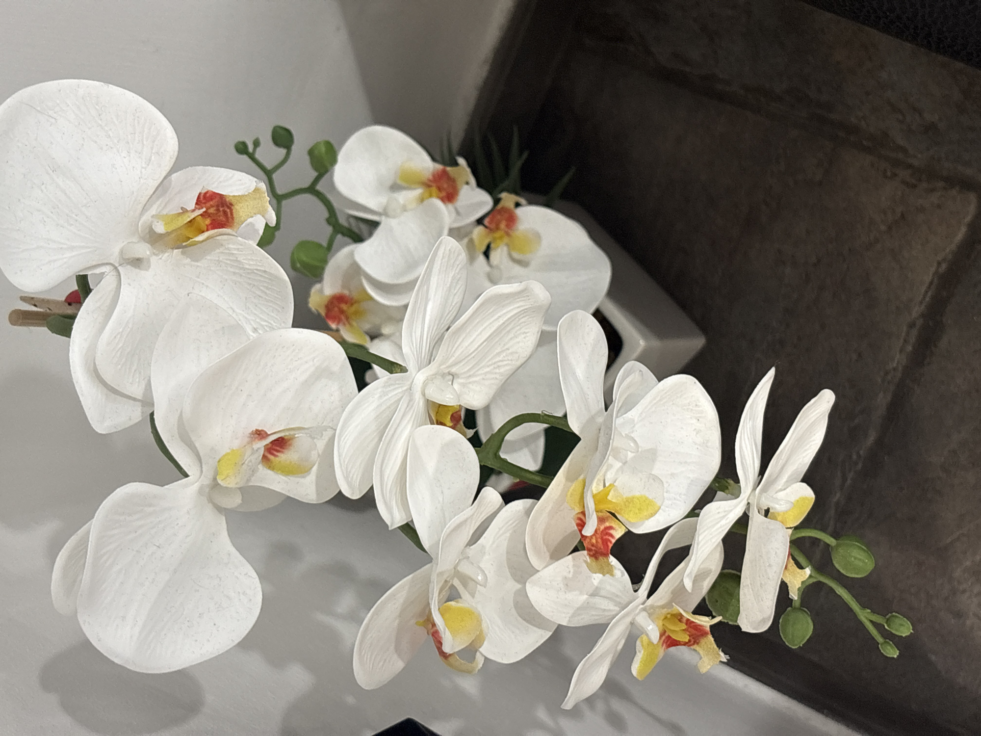 A close-up, eye-level shot focuses on a bouquet of artificial white orchids arranged in a grey rectangular planter. The orchids have prominent yellow and red centers. The planter rests on a dark, textured surface, possibly a table or shelf. The background is a plain, light-colored wall, with a subtle shadow cast by the flowers. There are no people or animals visible in the image. The scene is indoors, and the lighting is soft, suggesting ambient or artificial light. There is no indication of a specific location within the city of Rome, Italy.