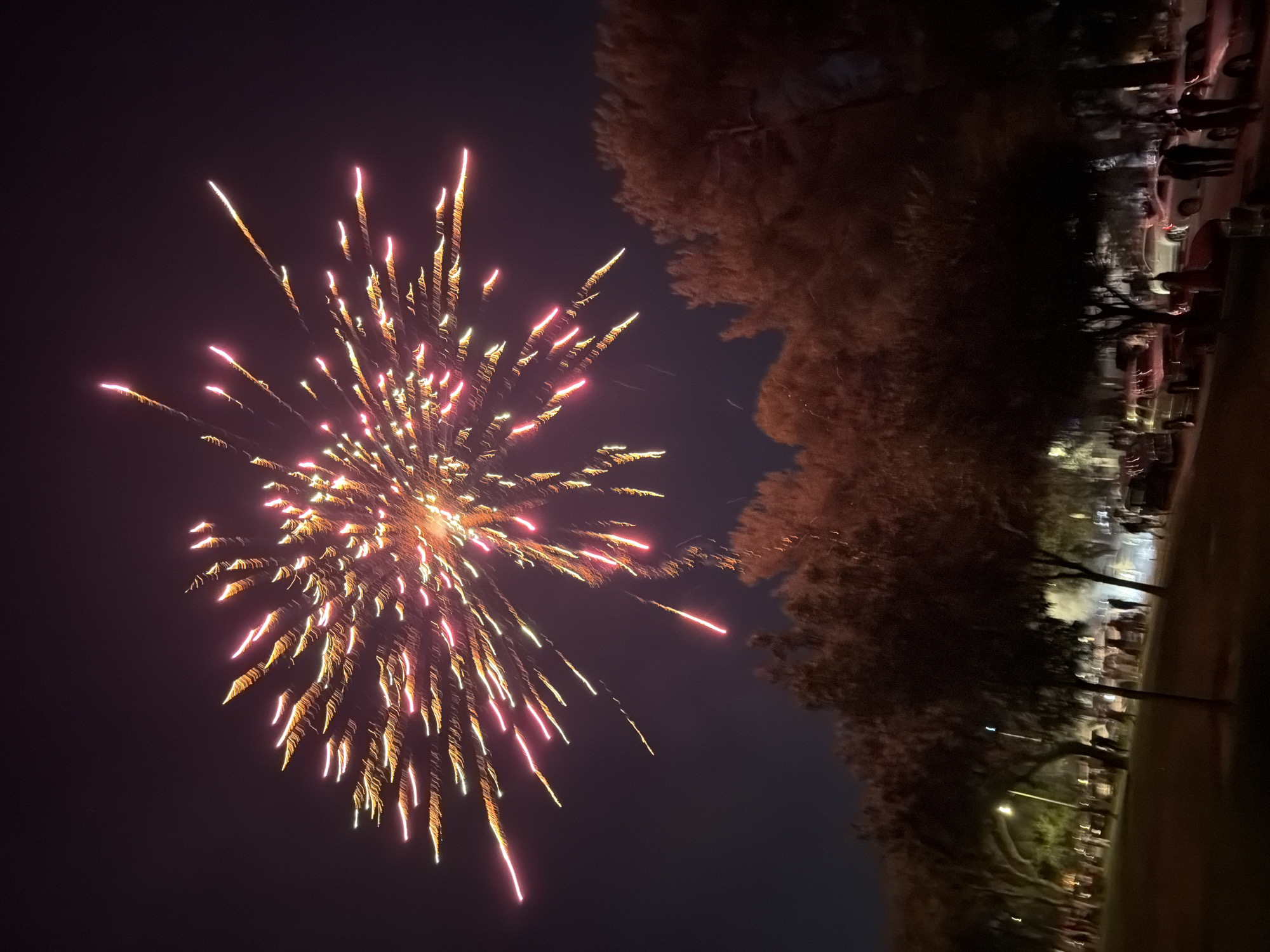 In an outdoor park at night, a vibrant fireworks display illuminates the dark sky with streaks of yellow and pink. The fireworks are centered in the upper portion of the frame, fanning out like a burst of light. Below the fireworks, the silhouettes of trees with orange-brown foliage dominate the mid-ground, their branches partially obscuring the scene behind them. In the background, a street with parked cars and indistinct figures of people is visible, lit by streetlights. The overall impression is one of a festive gathering taking place in a park during a fireworks show.