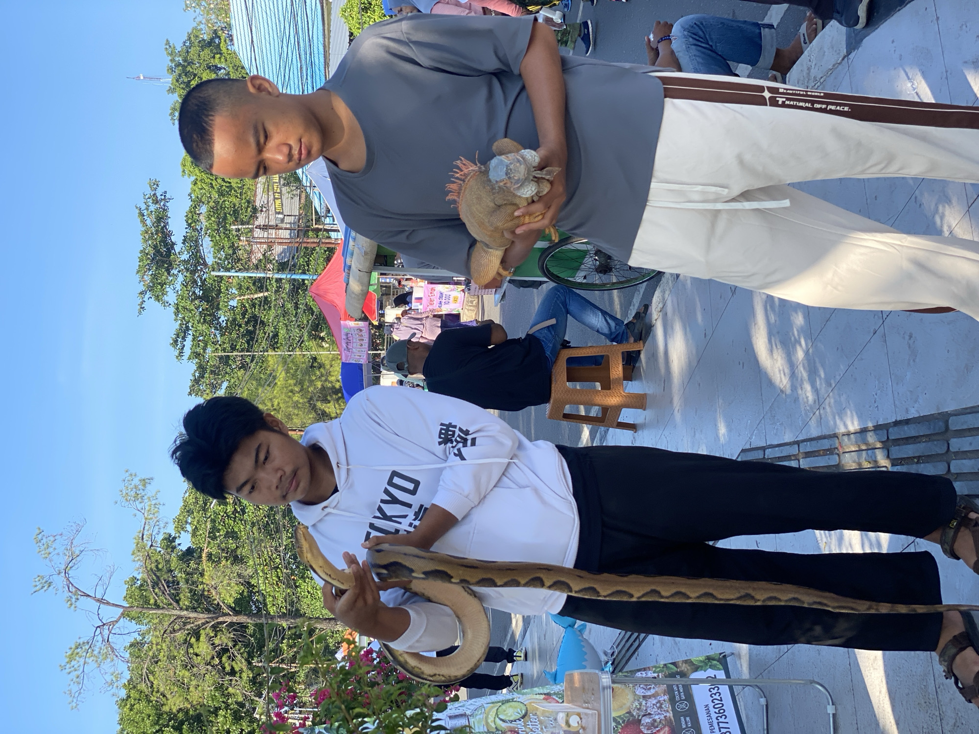Two young men are standing on a sidewalk in Banjarbaru, Indonesia, with exotic animals. The man on the left, wearing a white hoodie with "TOKYO" printed on it and black pants, is holding a long, patterned snake. The man on the right, in a grey t-shirt and off-white pants with a brown stripe, is holding an iguana with spiky orange crests. The background shows a street scene with market stalls, trees, and a clear blue sky. One stall has a sign with Indonesian text and a phone number. People are visible in the background, some sitting and some walking. The lighting suggests it is daytime, likely morning or afternoon.
