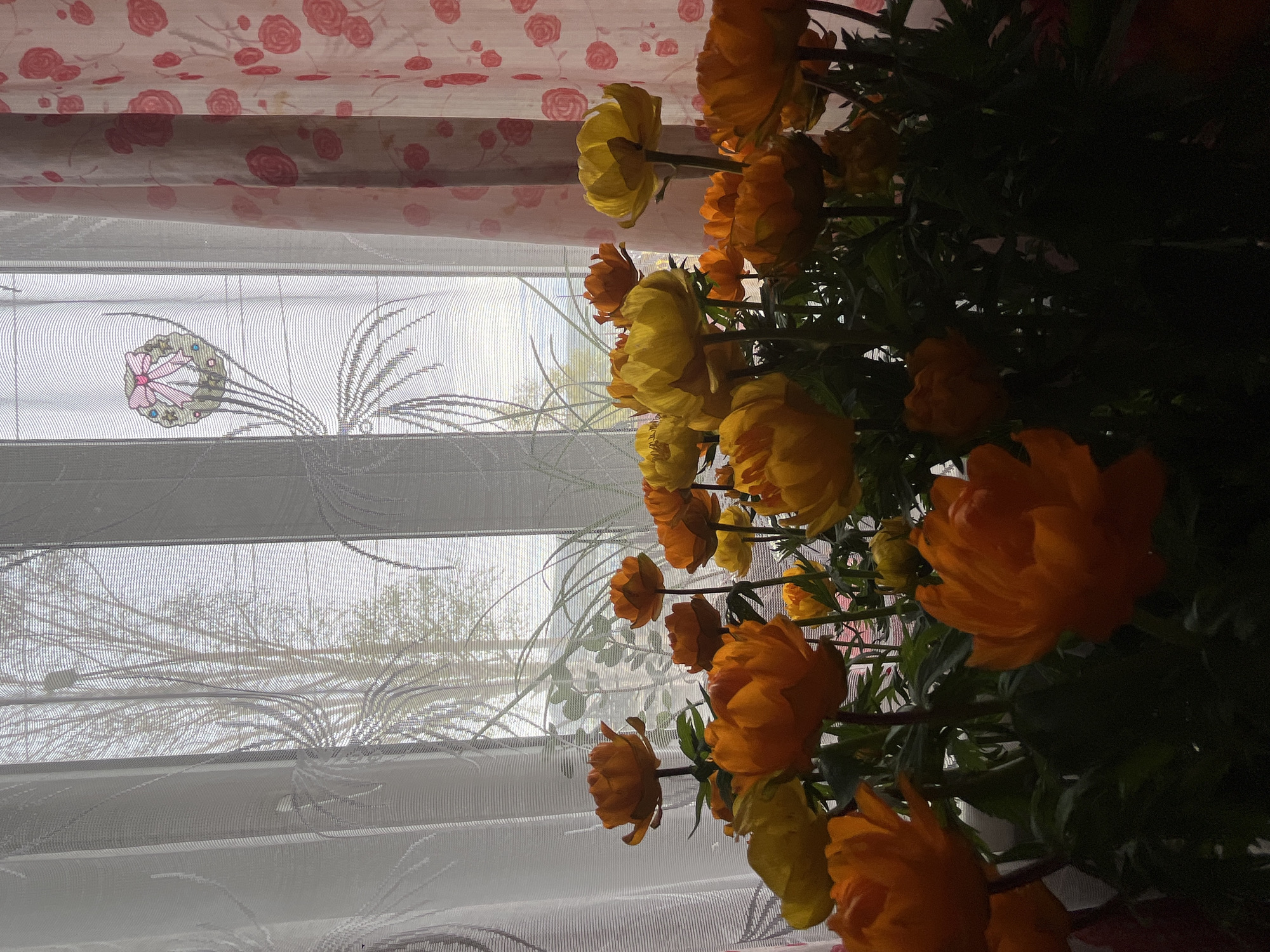 The image depicts a close-up view of a bouquet of bright orange and yellow flowers, likely Trollius, arranged in the foreground. The flowers are in full bloom and have a rounded, ruffled appearance. Behind the flowers, a window is visible, covered by sheer white curtains with a subtle floral or feathery pattern, and a pink floral patterned curtain to the right. Through the sheer curtains, the faint outline of trees and a bright, overcast sky can be seen. The overall lighting suggests it is daytime, possibly late afternoon, with diffused natural light. No people are visible in the image. The location is specified as Petropavlovsk-Kamchatsky, Russia.