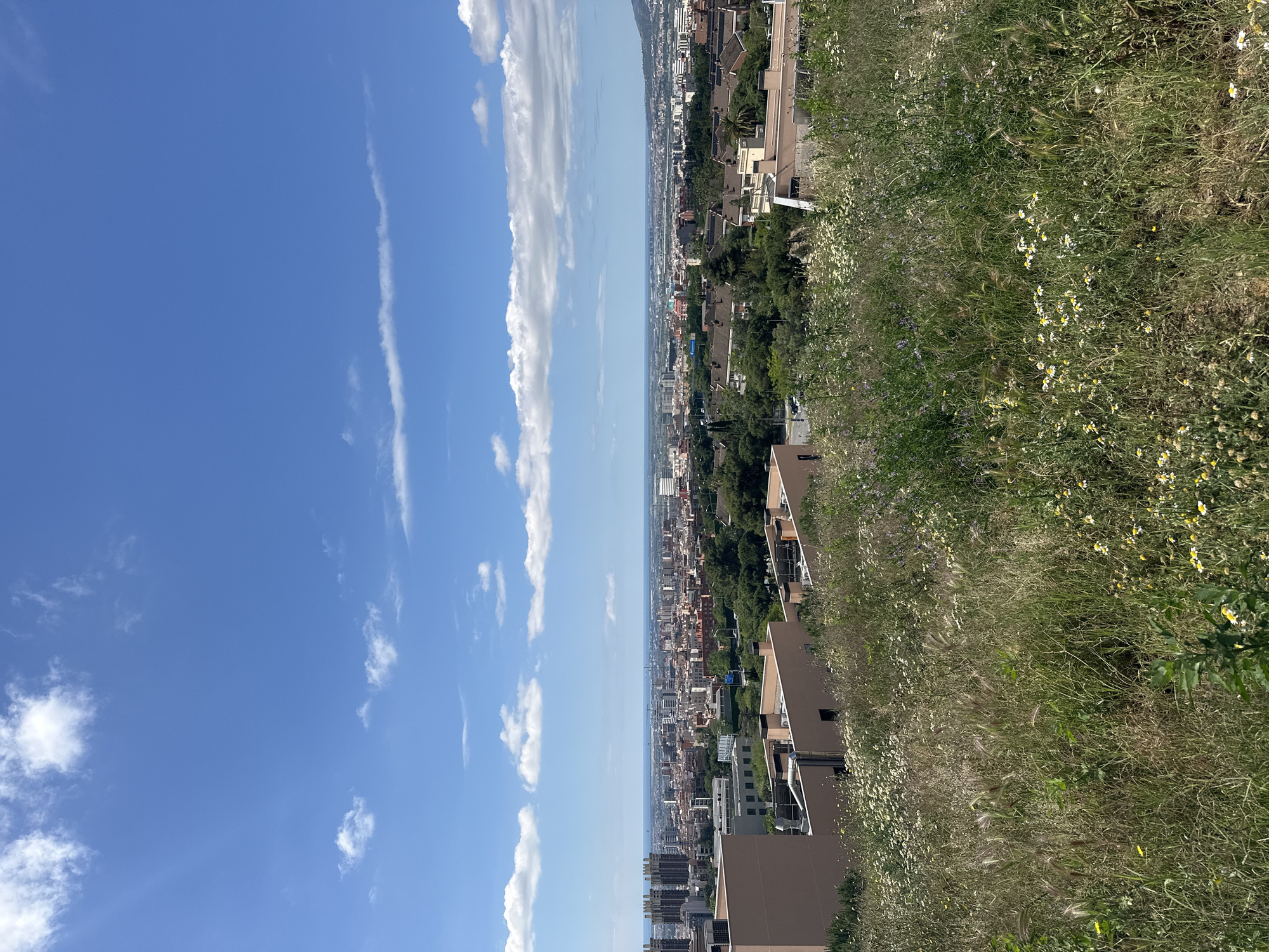 The image depicts a cityscape of Esplugues De Llobregat, Spain, as viewed from an elevated position. To the right, overgrown vegetation, including grasses and wildflowers, suggests the edge of a hill or embankment. Moving towards the center, buildings of varying heights and architectural styles fill the urban landscape, interspersed with trees and green spaces. In the background, the city extends toward the horizon, with the sea visible in the distance. The sky occupies the left side of the frame, showcasing a bright blue expanse dotted with fluffy white clouds.
