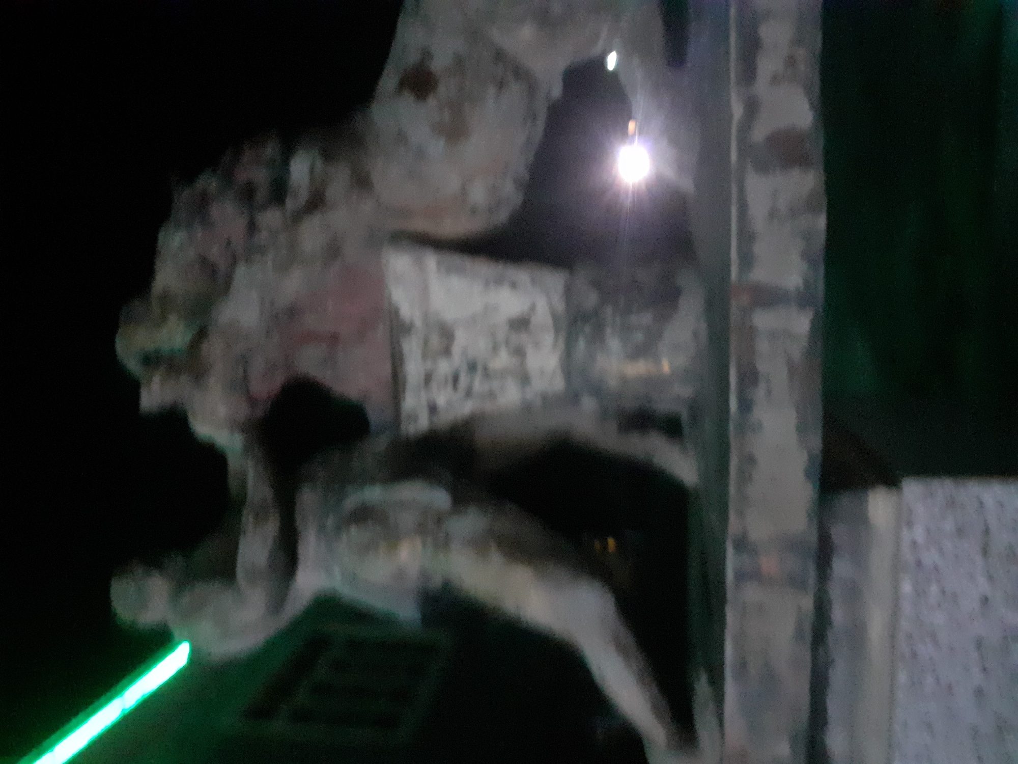 This is a nighttime photograph of a sculpture depicting a man wrestling a horse, located on a pedestal in Jalingo, Nigeria. The sculpture is rendered in a classical style, with the man appearing muscular and the horse in a dynamic pose. A bright green light source, possibly a neon sign or laser pointer, illuminates the scene from the left. The background is dark, suggesting it is nighttime, and a building with windows can be seen behind the sculpture. The sculpture itself appears to be made of stone or concrete, with some signs of wear and tear. The overall impression is one of a public art installation in an urban setting at night.
