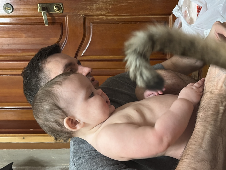A baby lies bare-chested in a man’s arms. The man wears a gray shirt, and the baby's skin is fair. A blurred cat's tail extends toward the baby from the upper right. Behind the man and baby is a wooden door with a brass latch. A plastic bag sits in the upper right corner, adding a slight distraction. The focus is on the baby’s face, turned slightly towards the camera.