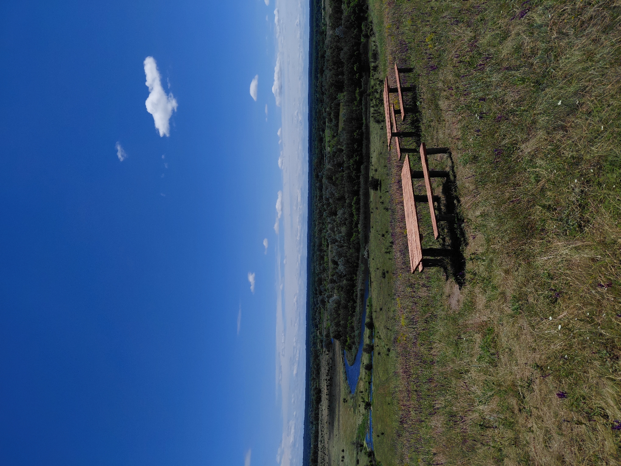 An outdoor scene with a bright blue sky with scattered white clouds. In the foreground, there are two wooden picnic tables with benches on a grassy hill dotted with purple wildflowers and dry grass. Beyond the tables, a winding river flows through a landscape of fields and dense trees. The horizon is lined with a hazy tree line under the expansive sky.