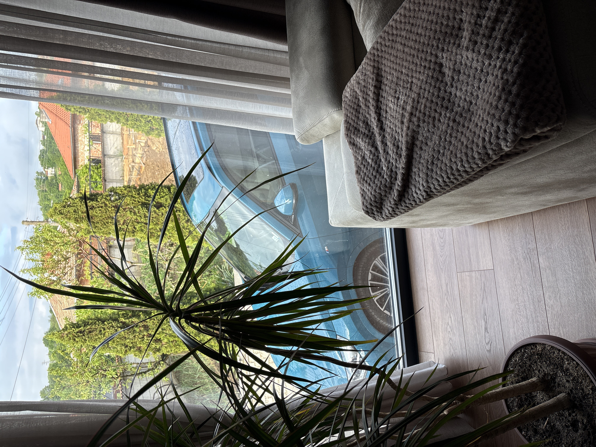 A view from inside a room in Dolno Drianovo, Bulgaria, shows a Dracaena plant in the foreground, partially obscuring a window. Outside the window, a blue car is visible, along with a view of a building under construction with a red-tiled roof and surrounding greenery. The room has a light-colored couch with a brown throw blanket. The floor is light wood. The curtains are sheer white. The image appears to be taken during daylight hours.