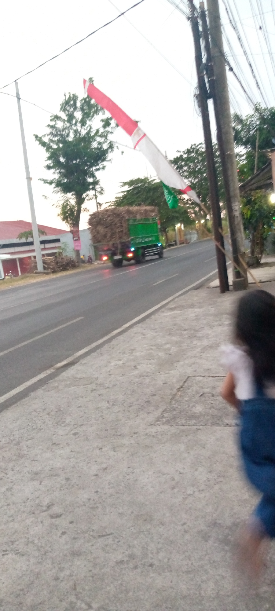 In the city of Sumberwono, Indonesia, a red and white flag, possibly a windsock, is prominently displayed across the sky, with a green truck carrying a large load of sugarcane traversing a road. The truck is captured in motion, suggesting it is actively transporting goods. On the side of the road, a person is seen sitting down, adding a human element to the scene. The environment is characterized by a paved road, a sidewalk, and lush green trees lining the area, indicating a semi-urban or rural setting. A building with a red roof is visible in the background, further contributing to the setting's details. The image is taken from a low-angle perspective, emphasizing the movement of the truck and the flag against the sky. The overall impression is a snapshot of daily life in Sumberwono, capturing a moment of transportation and activity.
