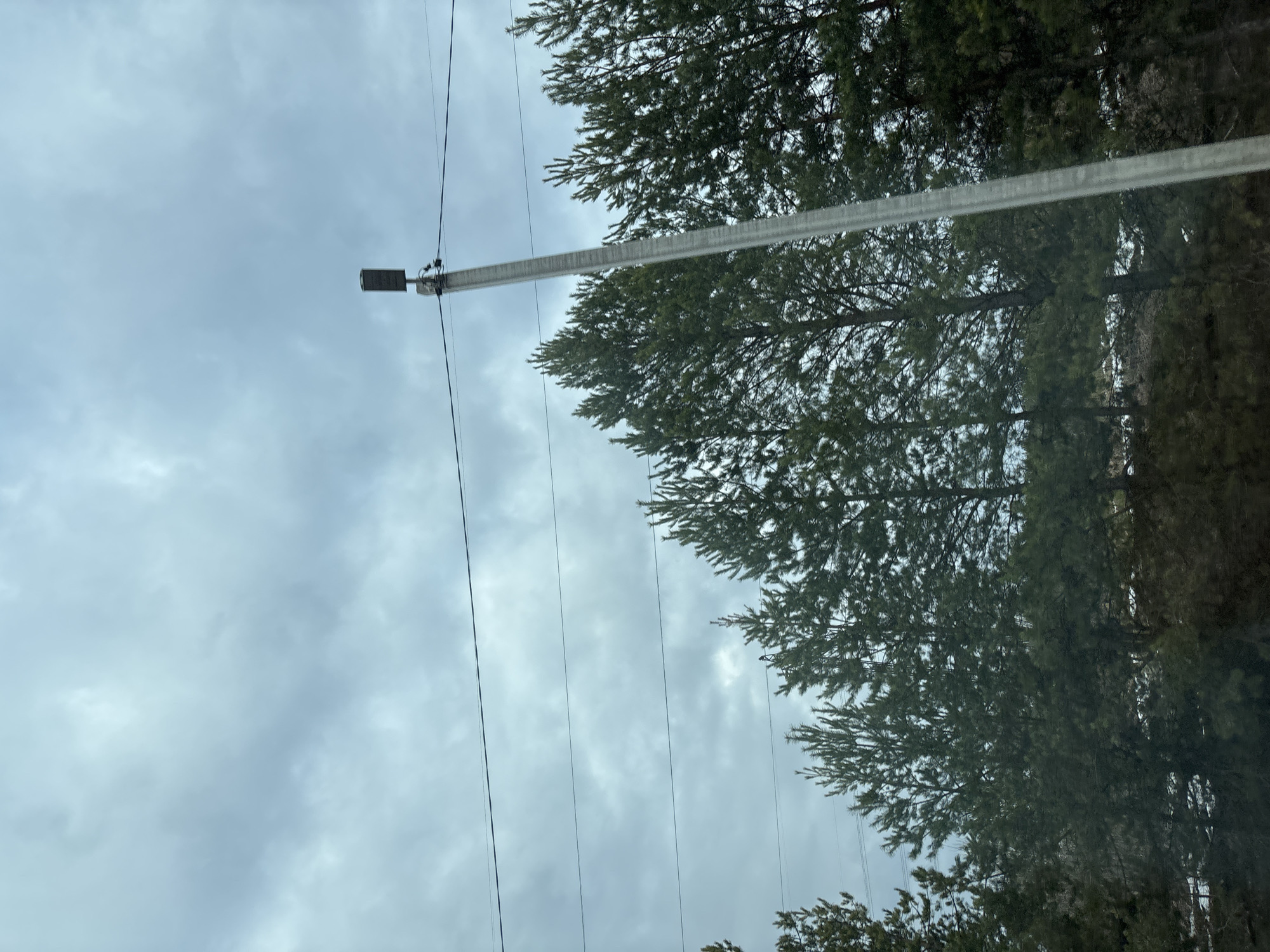 The image presents a view of a cloudy sky in Chaikovsky, Russia, punctuated by electrical lines and a pole with a street lamp. Evergreen trees line the right side of the image. The scene is likely taken during daylight hours. There are no visible people or interactions between people in the photograph.