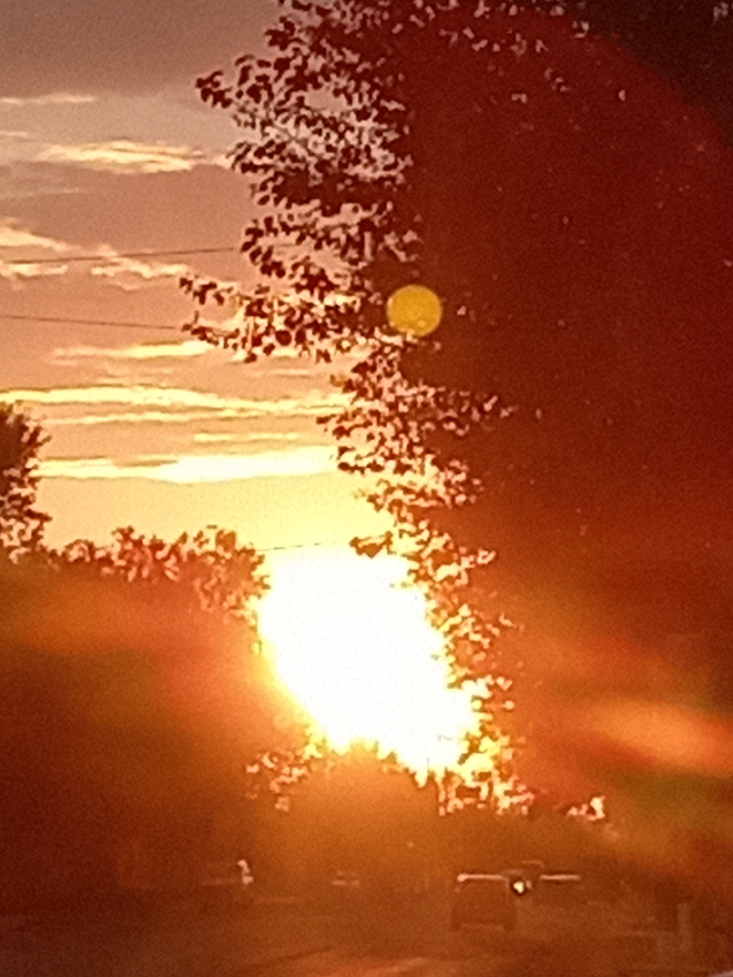 A vertical, slightly blurred, close-up shot captures a sunset with warm orange and yellow hues. The sun, a bright, overexposed circle, is partially obscured by the dark silhouette of tree branches and leaves in the foreground and middle ground, creating a lens flare effect. Wispy clouds stretch horizontally across the sky in the upper left, illuminated by the setting sun. The bottom portion of the image is darker, with the silhouettes of what appear to be vehicles on a road. Faint power lines are visible against the sky. The scene is indicative of an outdoor setting, possibly in the city of Rudny, Kazakhstan, during twilight.