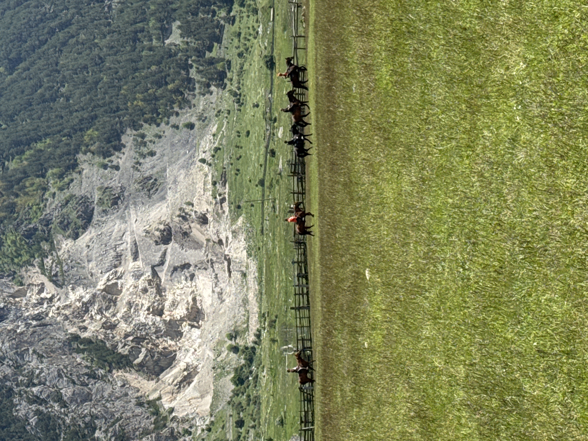 A group of five equestrians is riding horses in a wide, grassy field. The field is bordered by a wooden fence. In the background, there is a rocky mountain slope with scattered trees, and further back, a dense forest covers the upper slopes of another mountain. The sky is visible in the upper portion of the image and appears to be clear and bright. The scene suggests a rural or mountainous landscape in an outdoor setting.