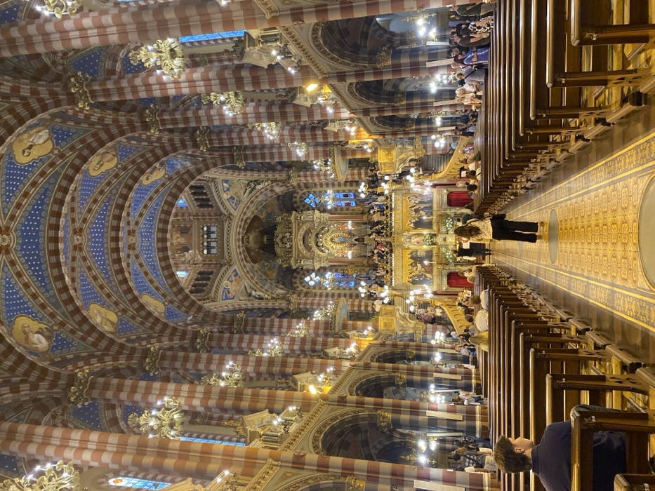 The image displays the interior of the Basílica Santa Rosa de Lima in Buenos Aires, Argentina, viewed from the rear of the nave, facing the chancel and main altar. The vast architectural space features numerous columns with distinctive horizontal red and white stripes. Overhead, the vaulted ceilings are painted a deep blue, decorated with golden stars and framed medallions containing depicted figures. Ornate golden chandeliers and wall sconces provide illumination throughout the structure.
Multiple rows of dark wooden pews occupy the nave, with individuals seated in various sections. In the immediate left foreground, a male with short brown hair is seated in a pew, facing the altar. A female subject in a light-colored top and dark trousers stands in the central aisle, oriented towards the distant altar. The main altar is an elaborate, multi-tiered golden structure, featuring a prominent central statue, flanked by stained glass windows and additional decorative elements. Elevated balconies on both sides of the chancel are populated with numerous individuals. Groups of people are also standing and circulating in the side aisles and towards the rear of the church. The scene is well-lit, indicating a public gathering within the ornate religious setting.