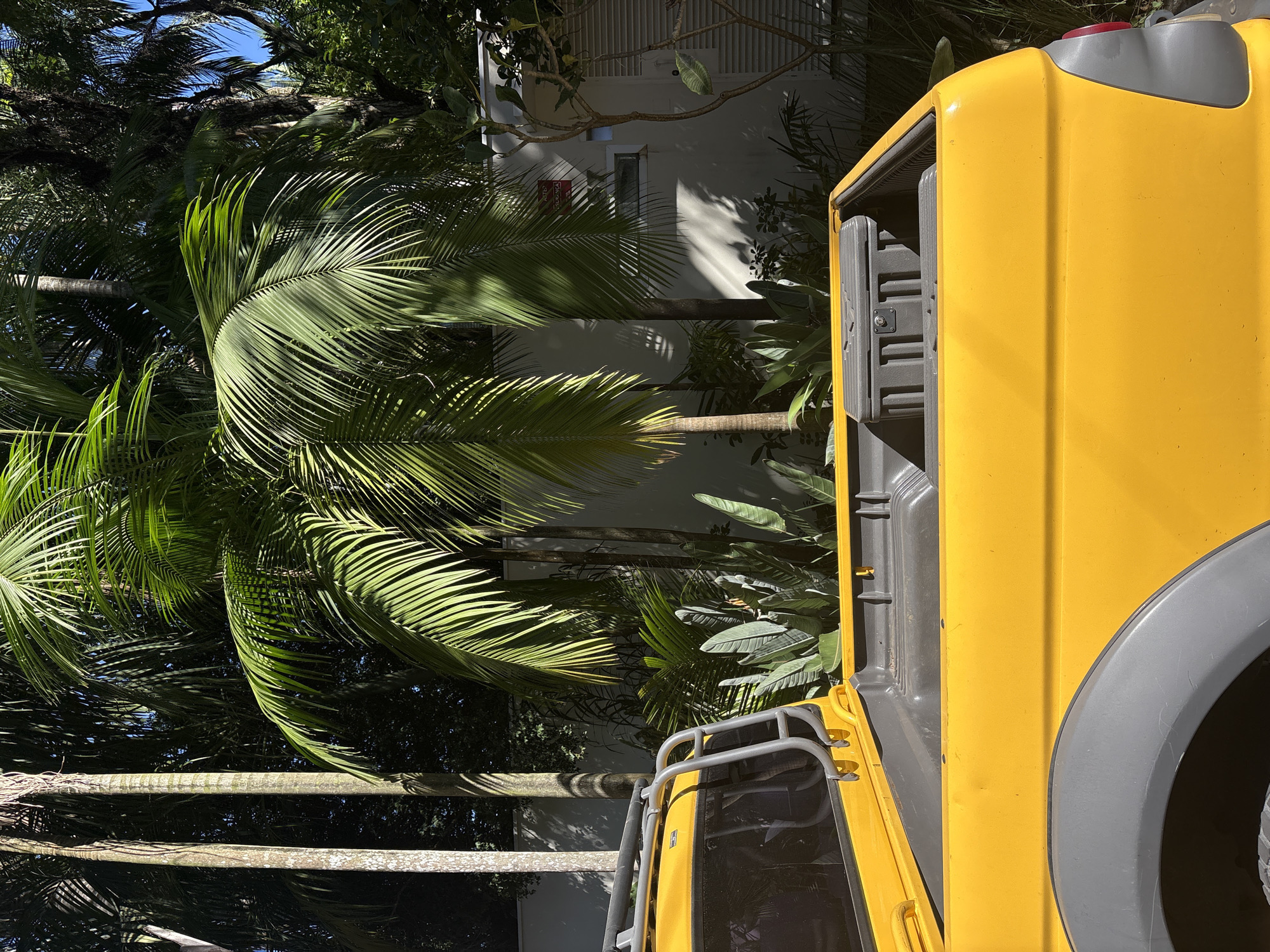 In São Paulo, Brazil, a close-up shot focuses on the rear of a bright yellow utility vehicle, parked amidst lush tropical foliage and a modern white building. The truck bed is visible, containing a gray storage container. Tall palm trees and other large-leafed plants create a dense, green backdrop. Sunlight casts distinct shadows on the vehicle and the white wall of the building, suggesting a sunny day. The scene is static, with no people or discernible activity, presenting a snapshot of a vehicle in a tropical, possibly residential or resort, setting within the city.